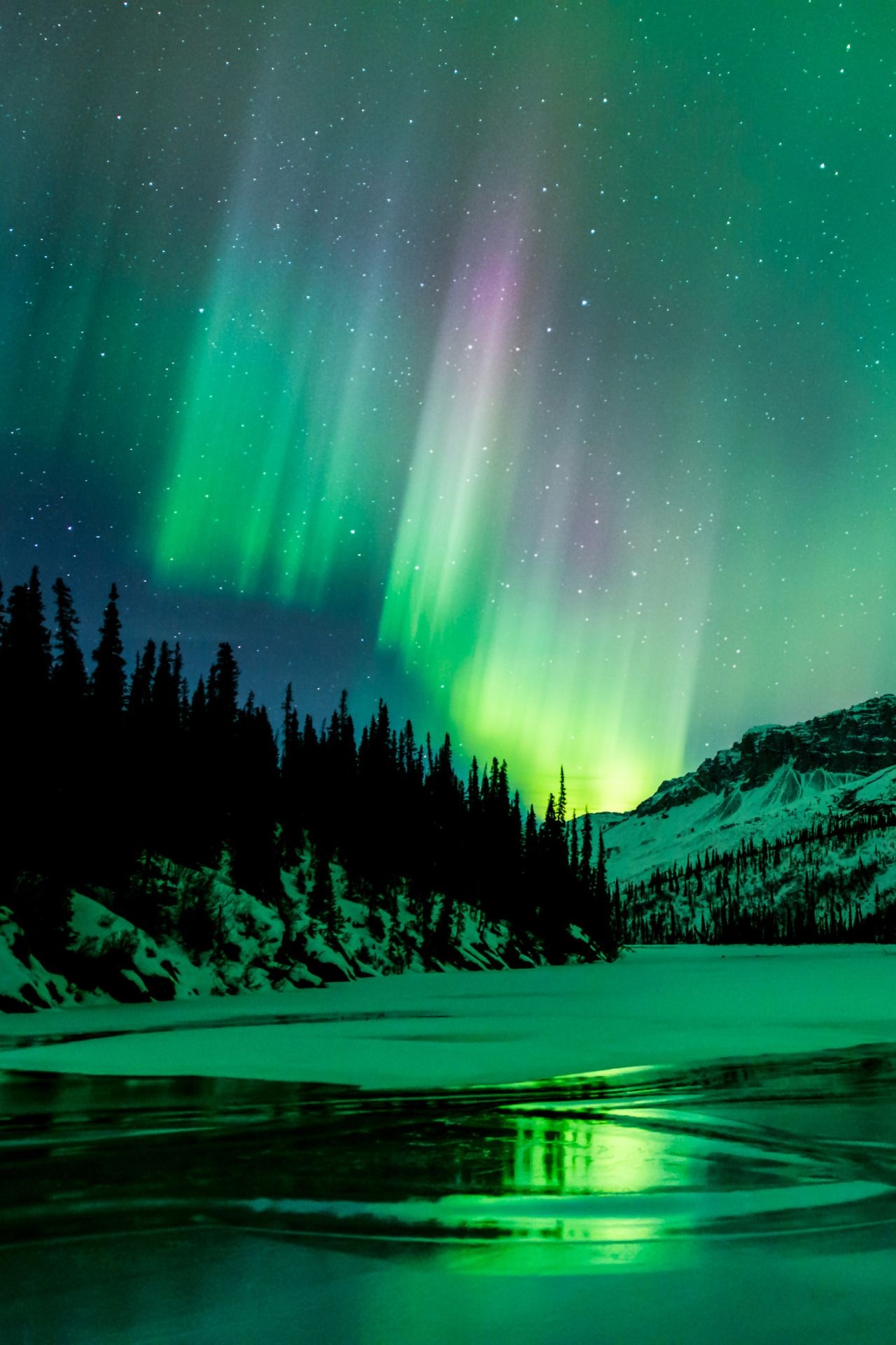 Aurora borealis light curtains, Frozen lake reflection, Snow-covered pine ridge, HD Phone wallpaper