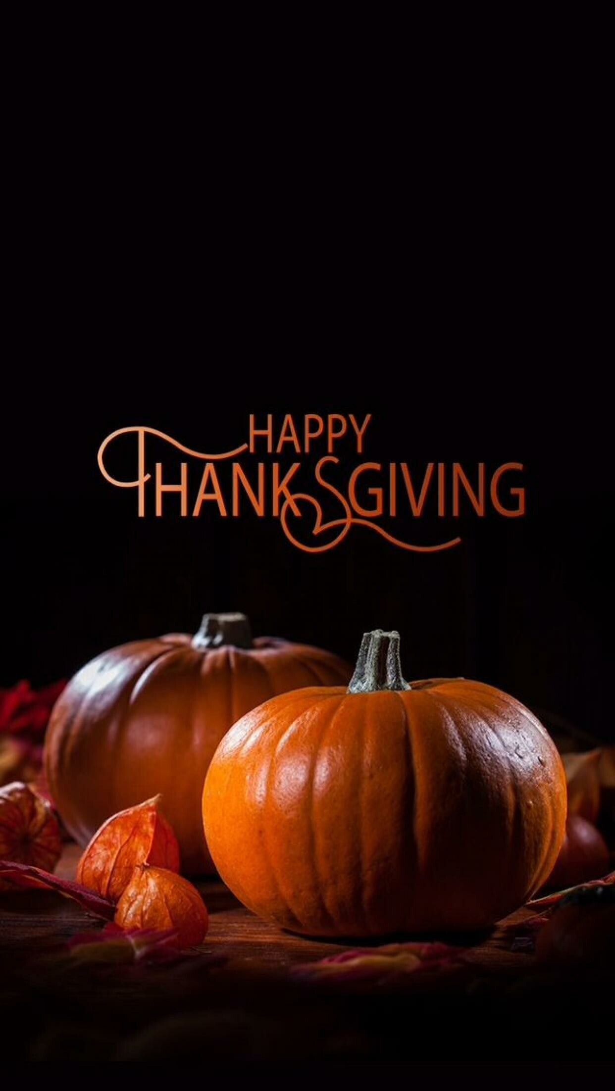 Pumpkins, Thanksgiving Wallpaper, 1250x2210 HD Phone