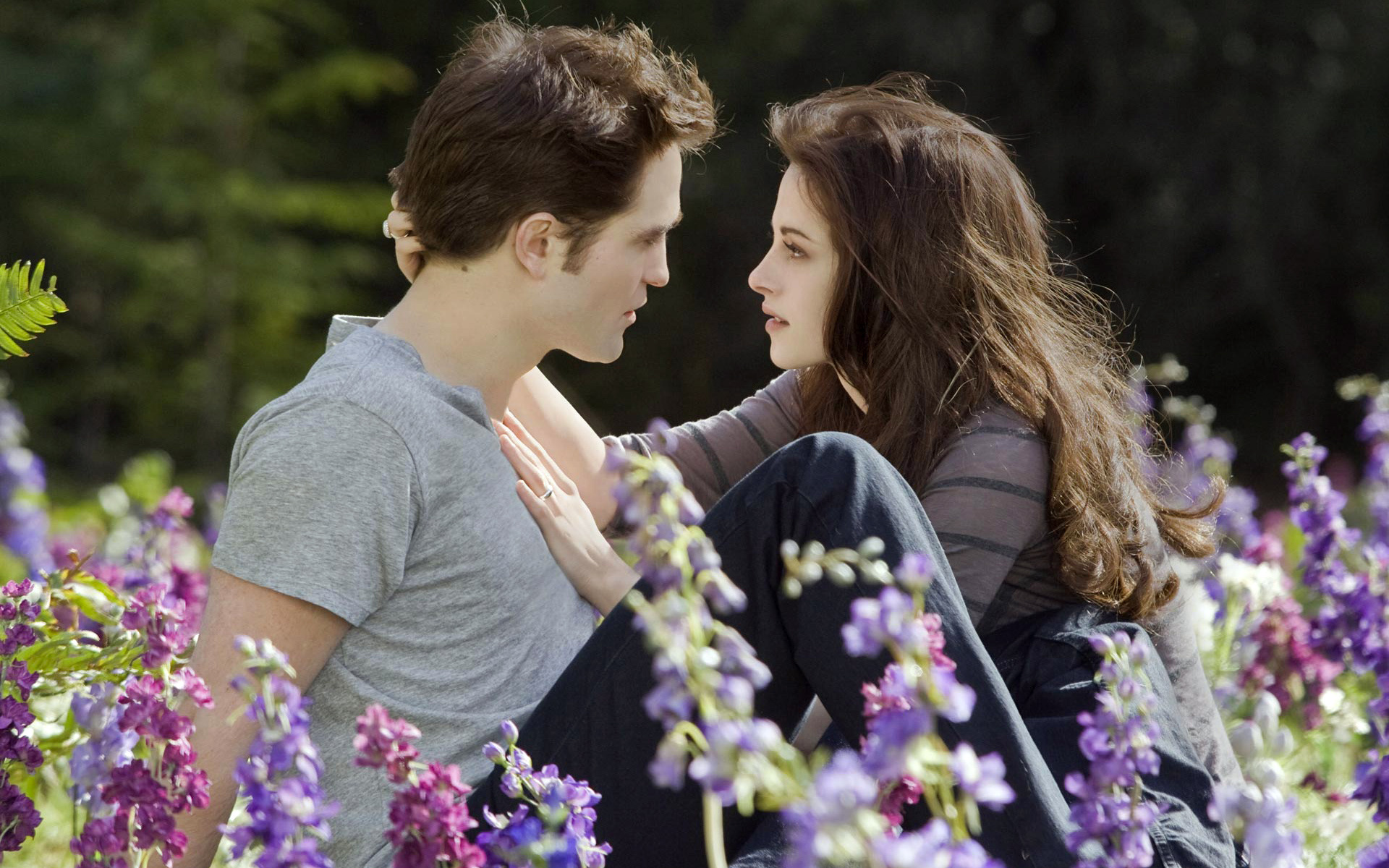 Bella, Twilight movies, Edward and Bella, Twilight Serie, 1920x1200 HD Desktop