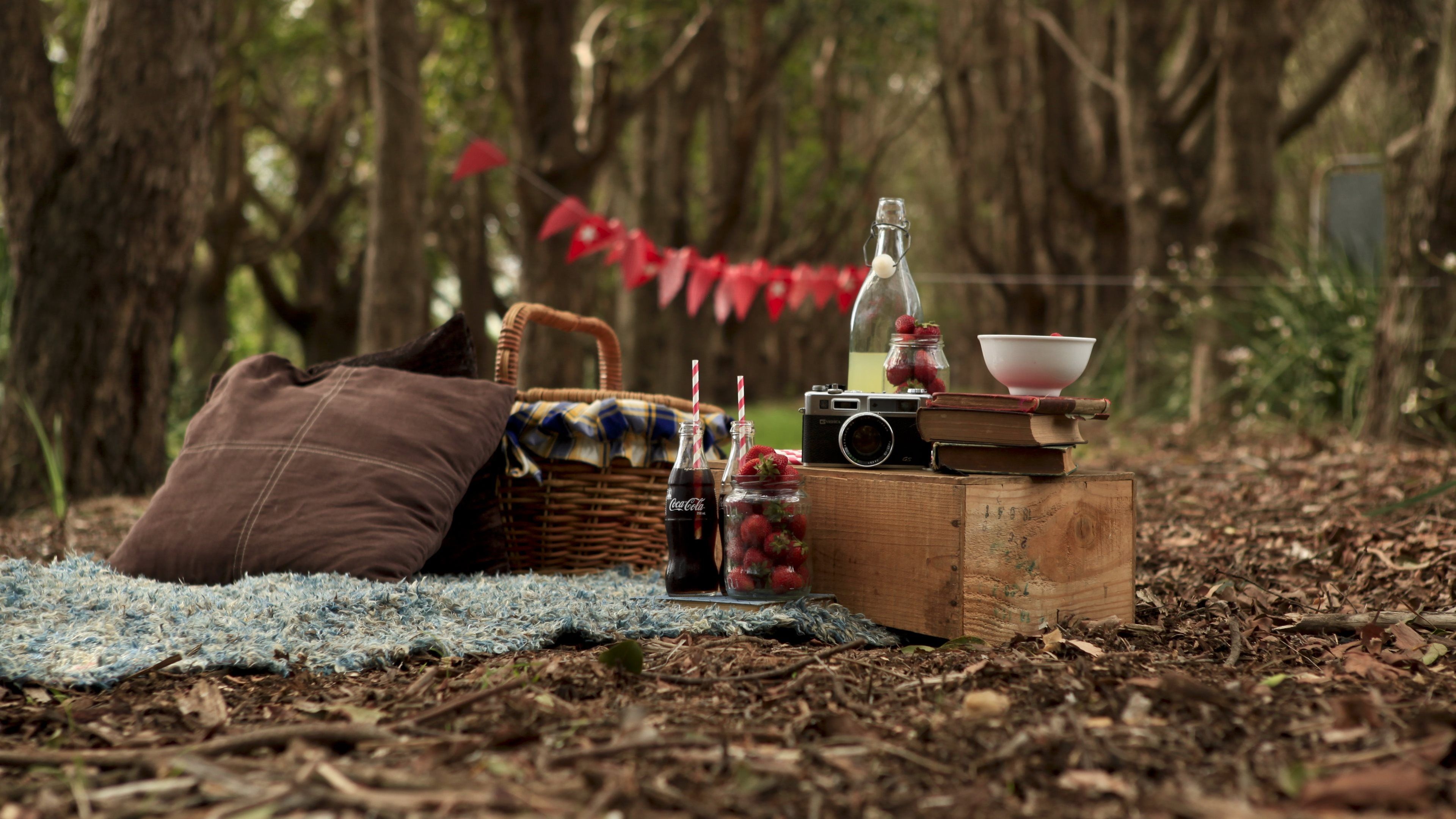 Picnic scene, Outdoor dining, Checkered blanket, Food, 3840x2160 4K Desktop