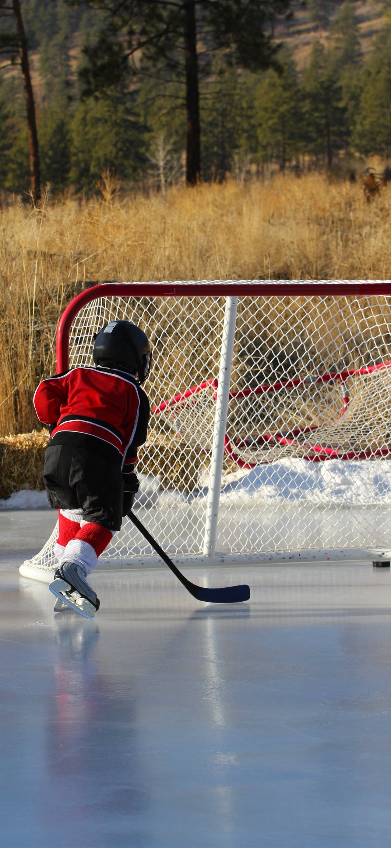 Outdoor, Hockey Rinks Wallpaper, 1290x2780 HD Phone