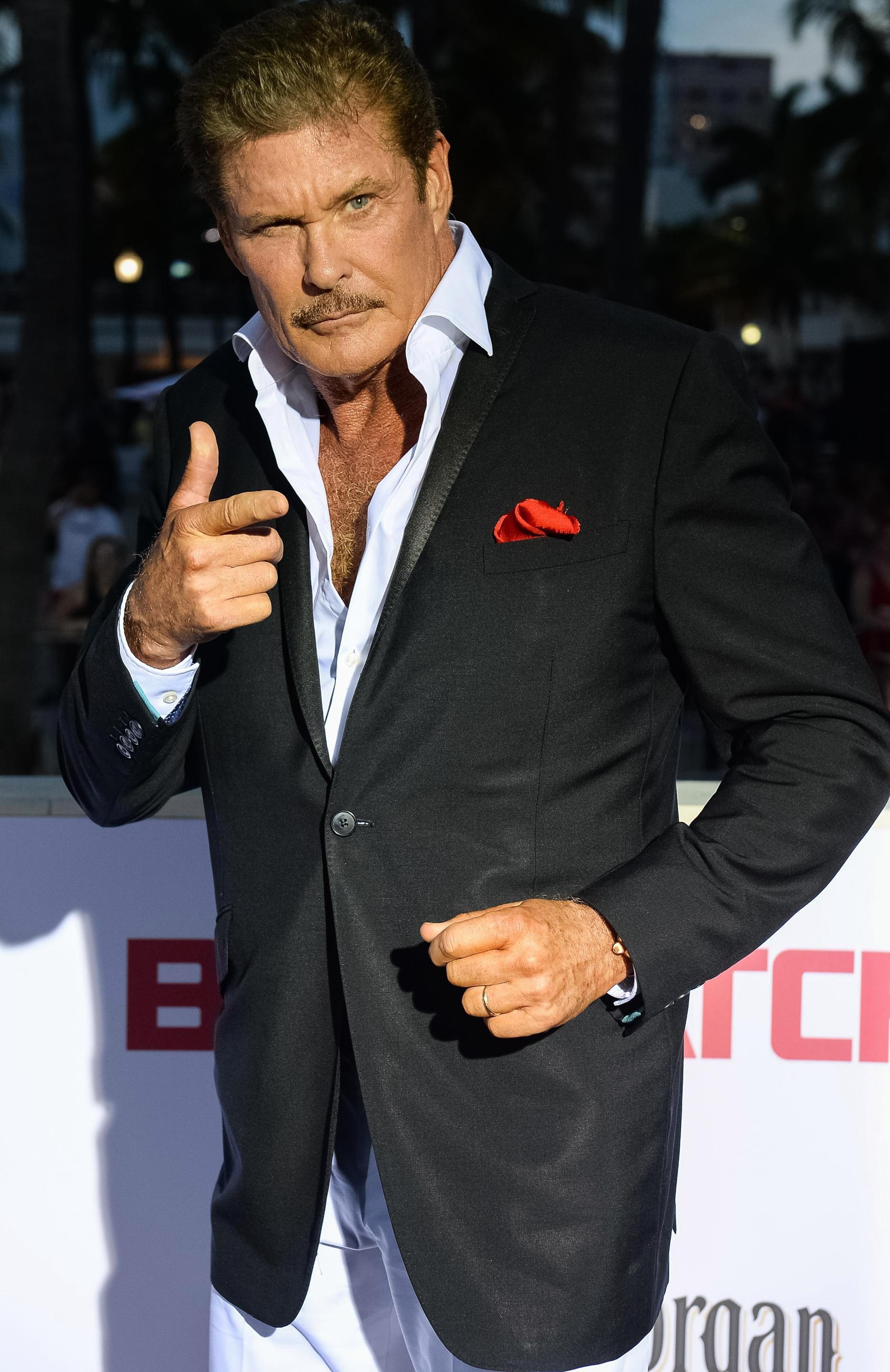 David Hasselhoff movies, Age inquiry, Hayley Roberts, Net worth revelation, 1880x2890 HD Phone