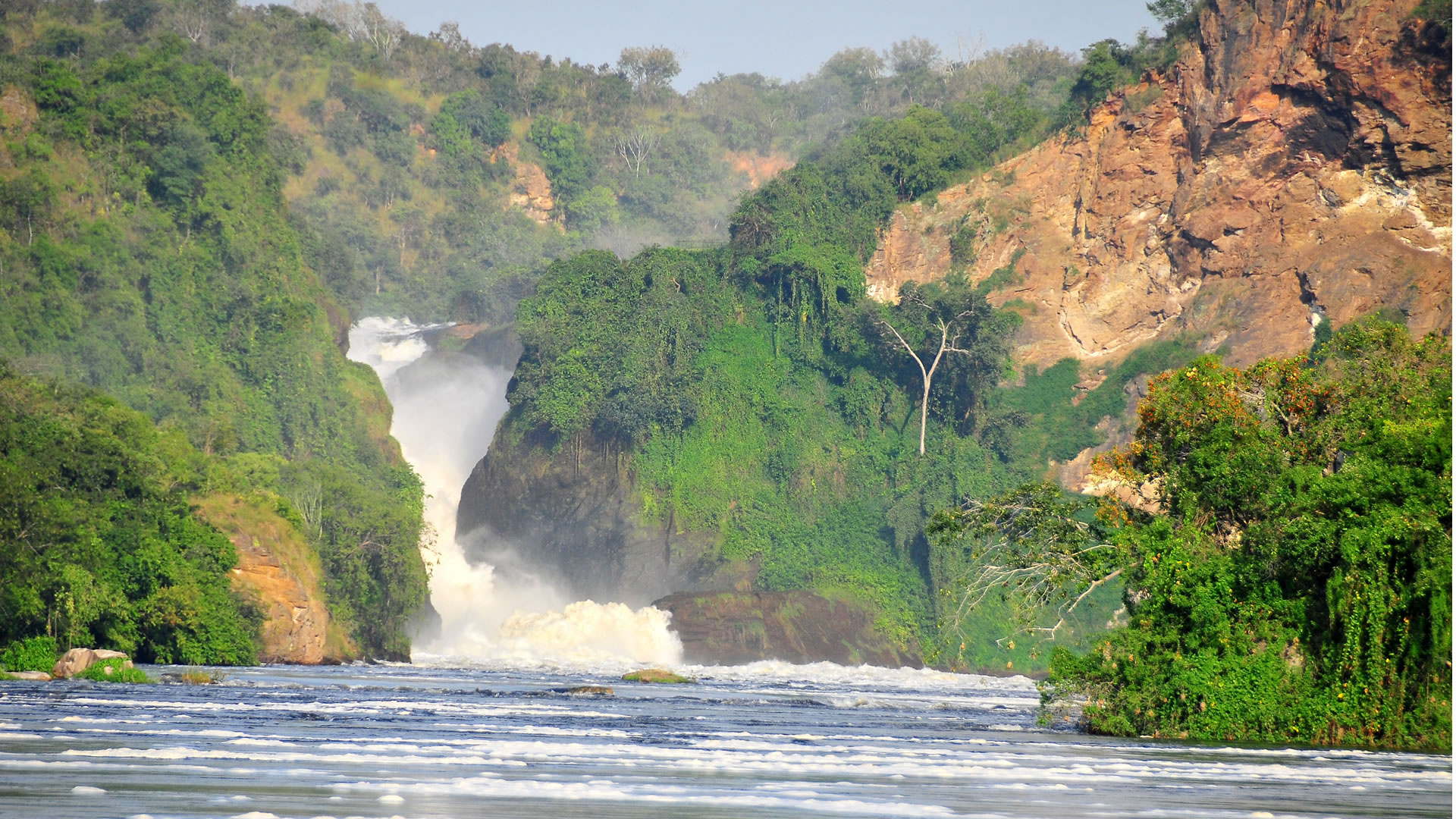 Uganda travels, Gorillas, Wildlife safari, Group and family tours, 1920x1080 Full HD Desktop