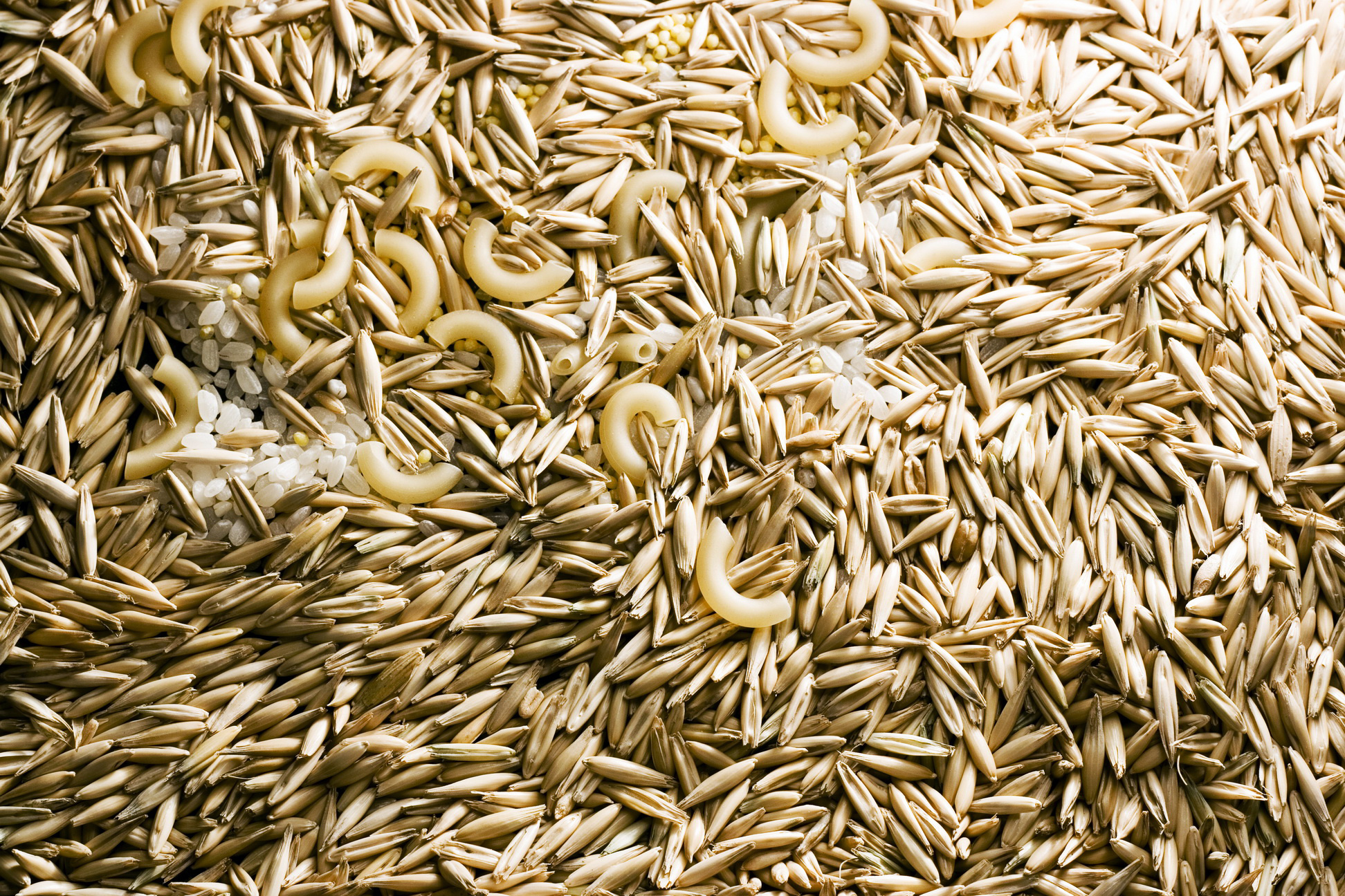 Oat, Grains Wallpaper, 1950x1300 HD Desktop