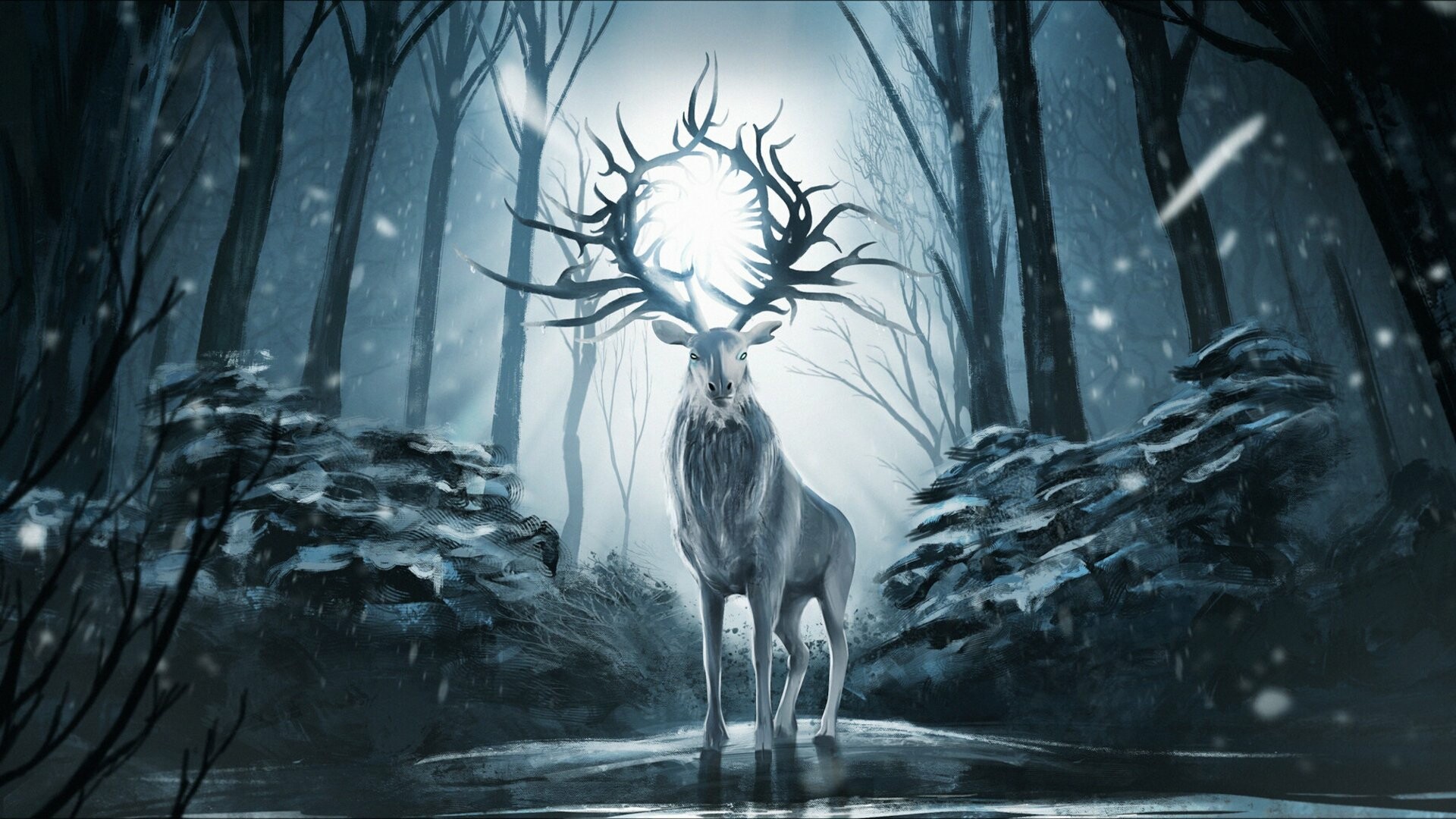 Shadow and Bone TV Shows, HD wallpapers, Backgrounds, 1920x1080 Full HD Desktop