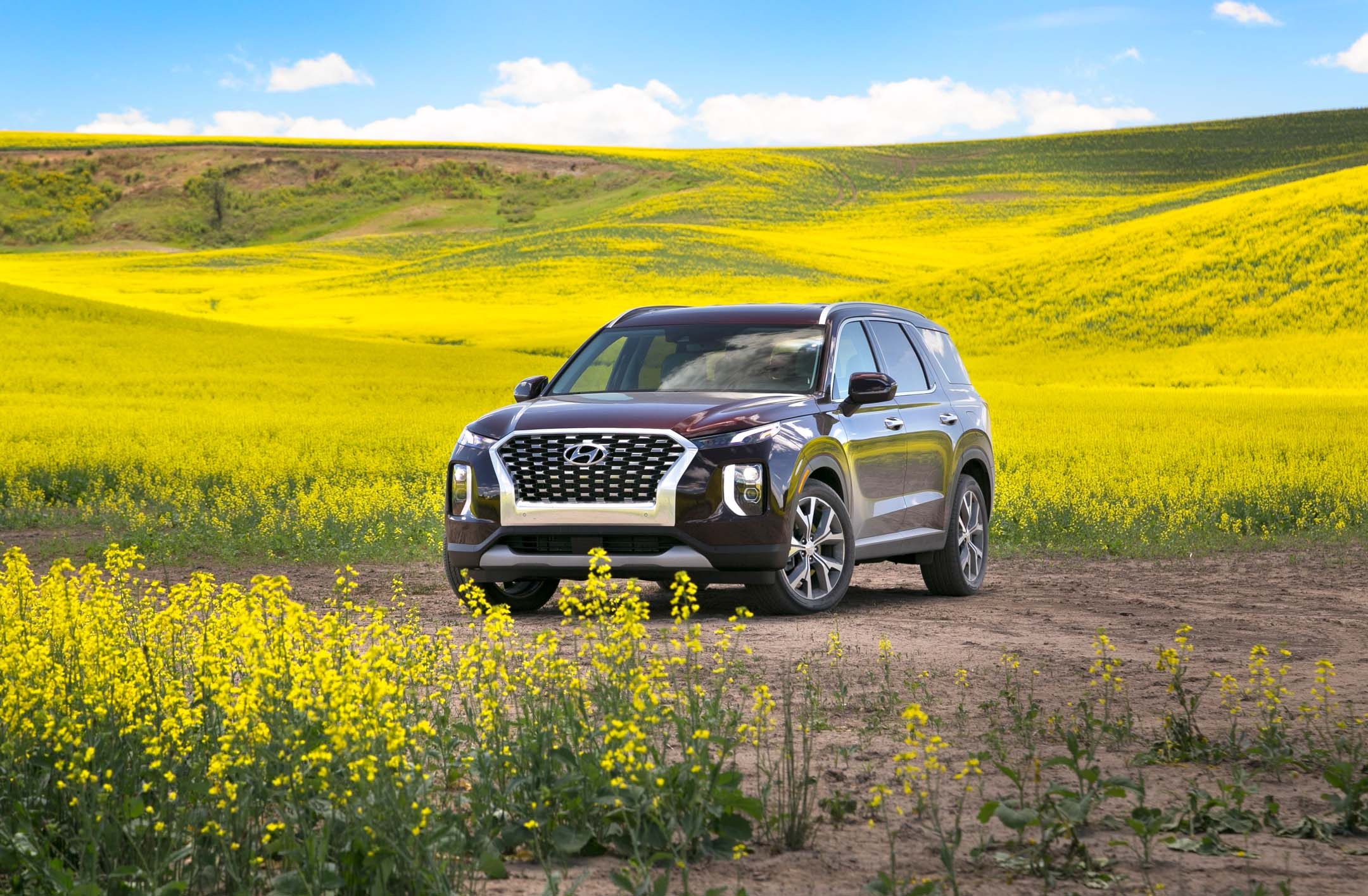 Hyundai Palisade, 2020 model, First drive review, SUV perfection, 2160x1420 HD Desktop