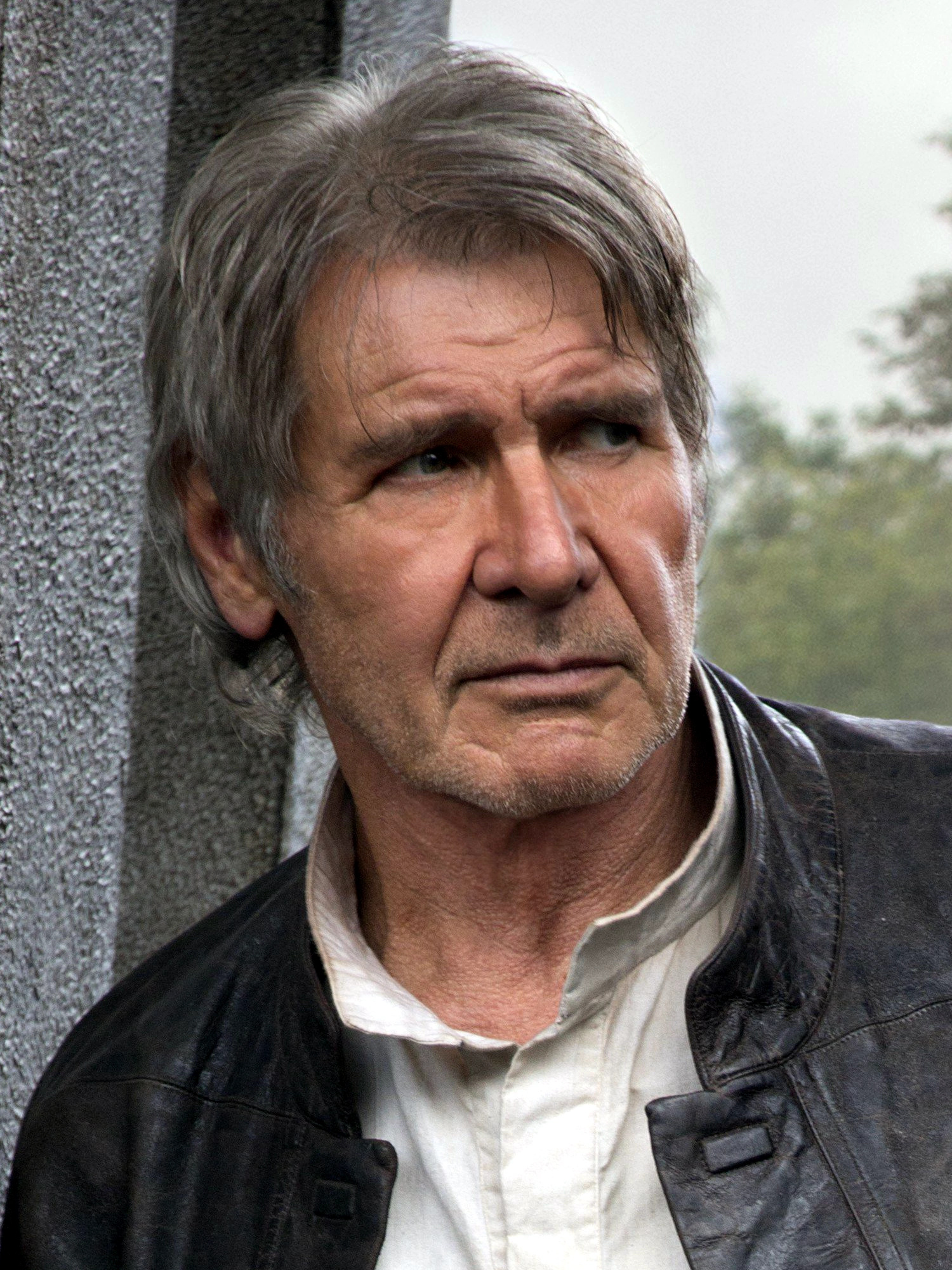Han Solo, Wookieepedia, Fandom, 1500x2000 HD Phone