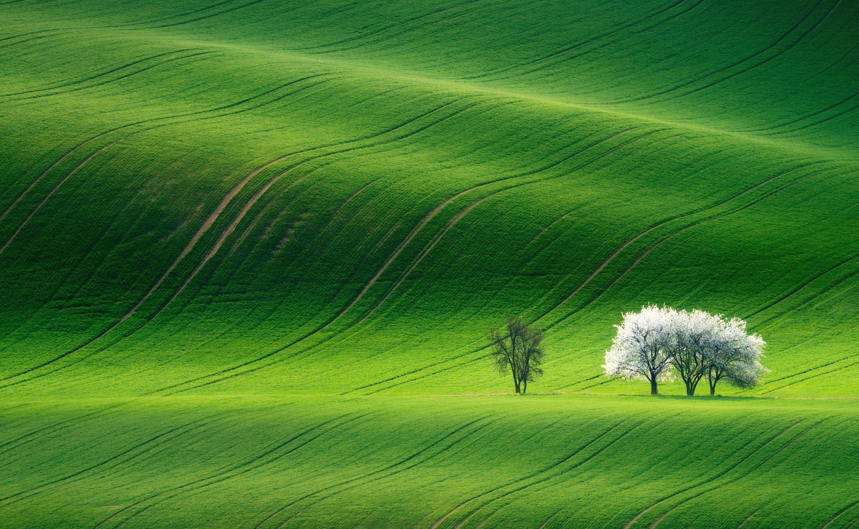 Scenic green hills, Nature's charm, Beautiful landscapes, Serene spring, 2880x1780 HD Desktop