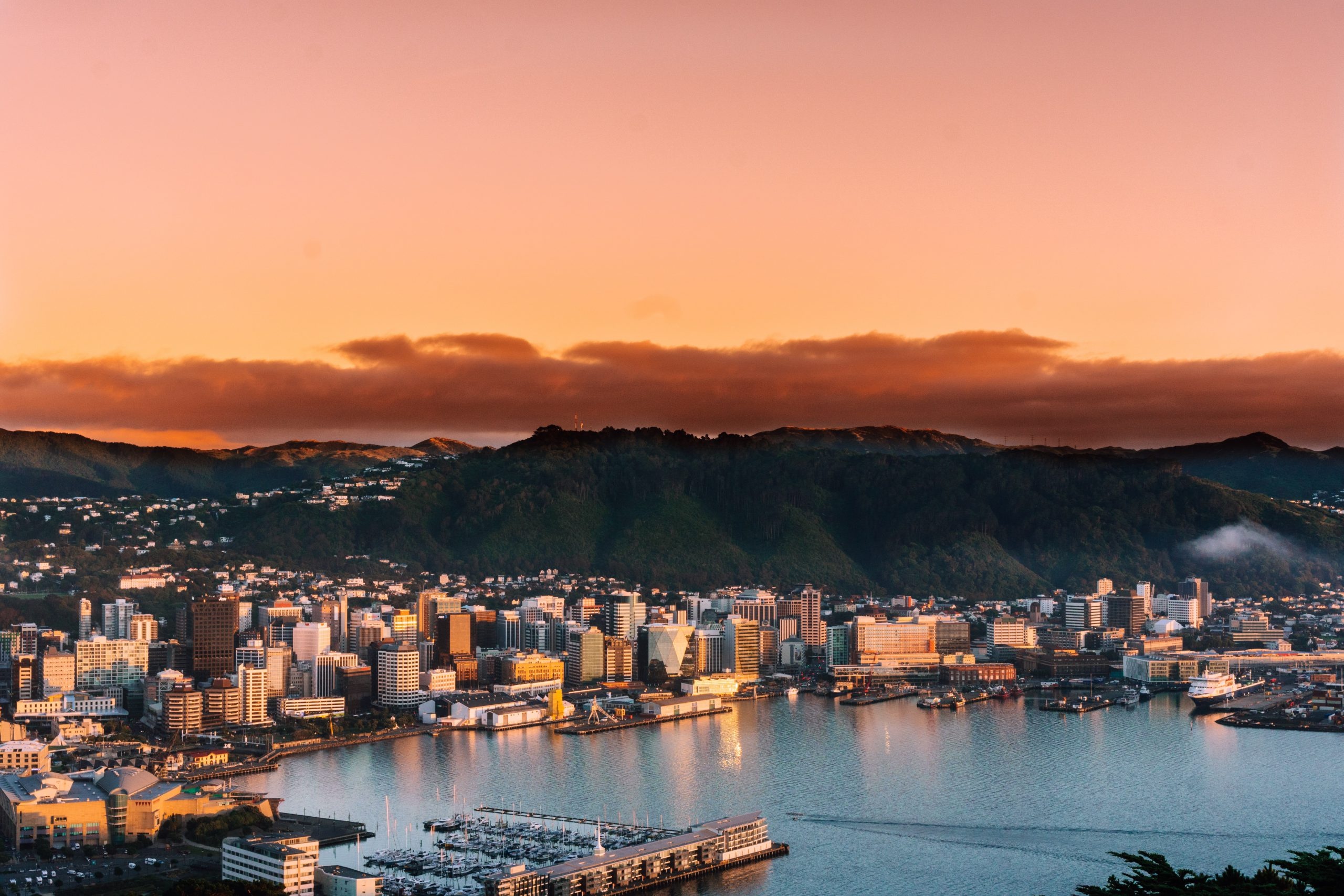 Wellington, Travels, Aware Group, Wellington-based team, 2560x1710 HD Desktop