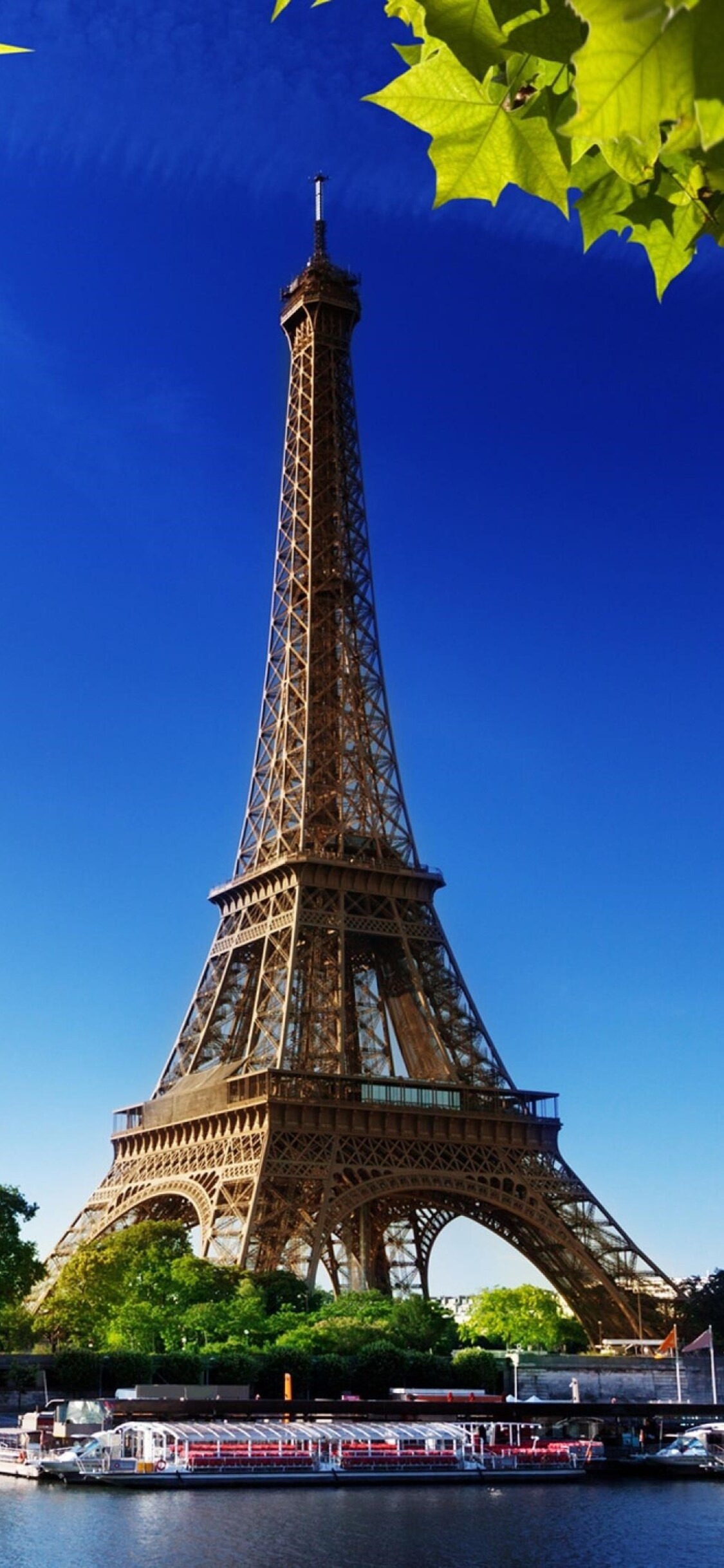 Eiffel Tower Paris, 4K HD wallpapers, High-quality images, Mobile backgrounds, 1130x2440 HD Phone