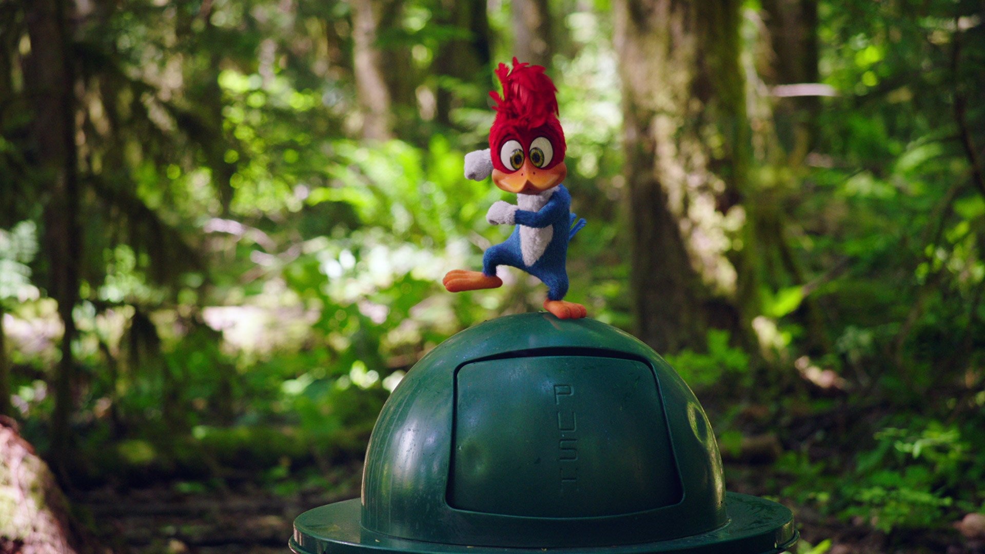 Woody Woodpecker, Stream on Rakuten TV, Animated comedy, Bird's mischievous antics, 1920x1080 Full HD Desktop