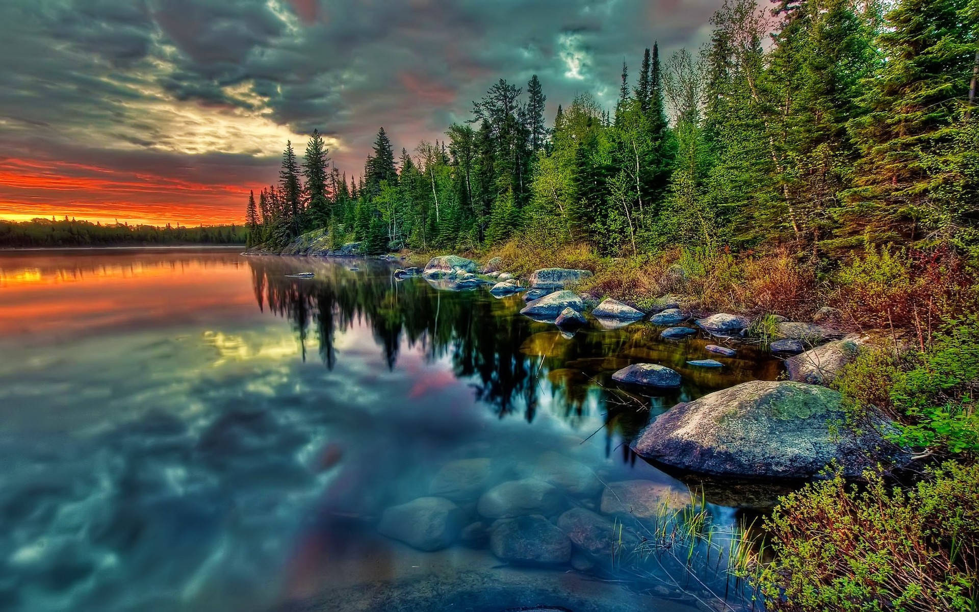 Forest lake, PC Wallpaper, 1920x1200 HD Desktop