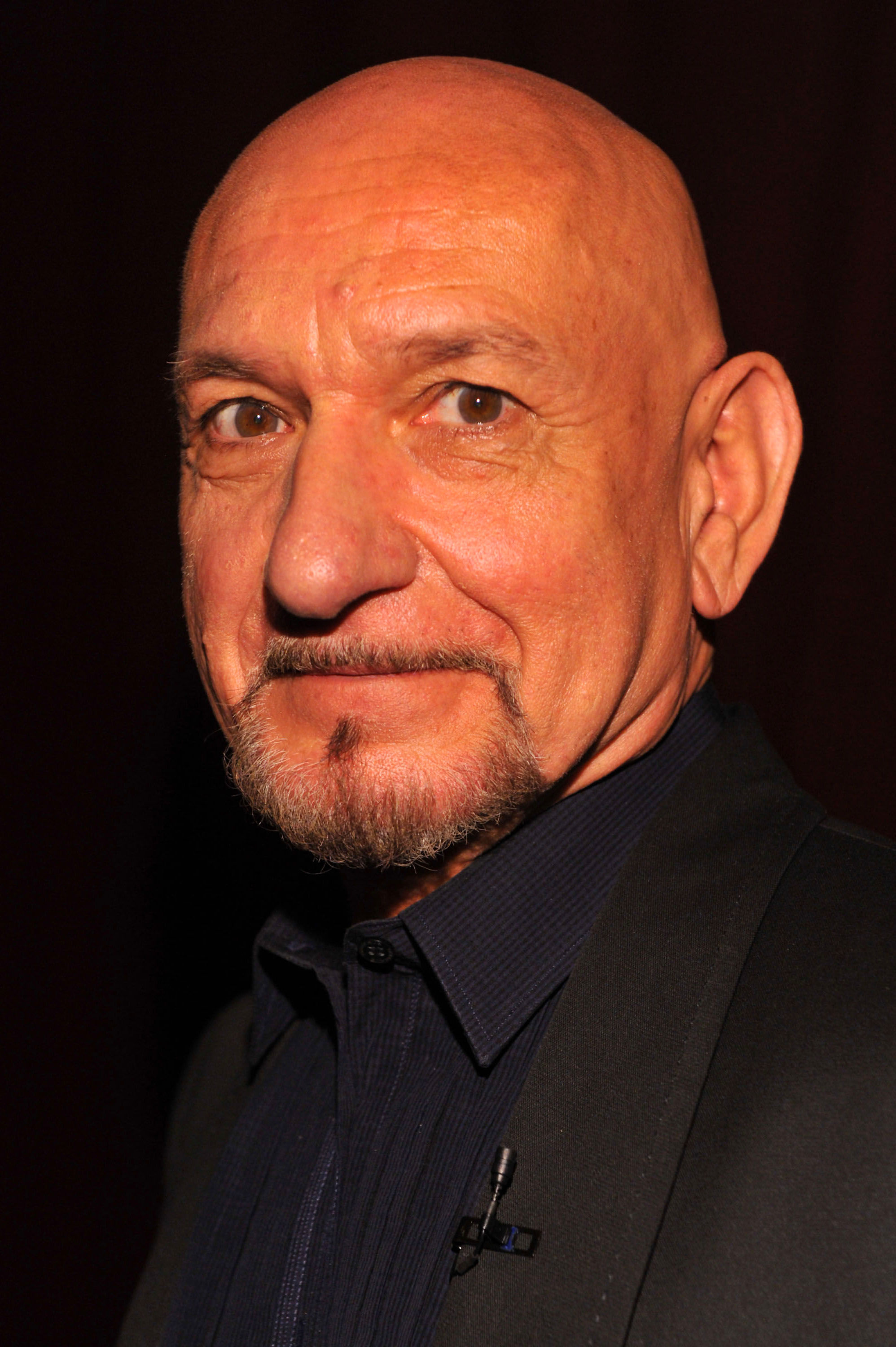 Ben Kingsley, MaximumWallHD, Movie wallpapers, Fond d'ecran, 2000x3000 HD Phone