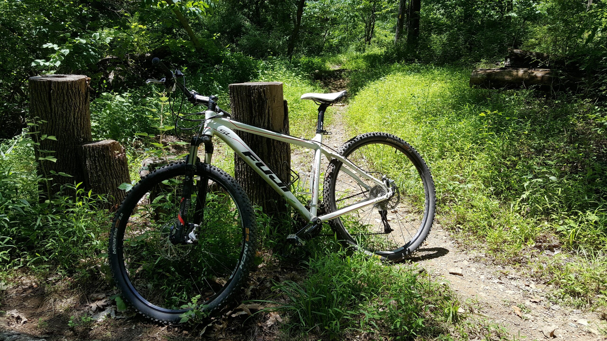 Tahoe 29 SL, Fuji Bikes Wallpaper, 2560x1440 HD Desktop