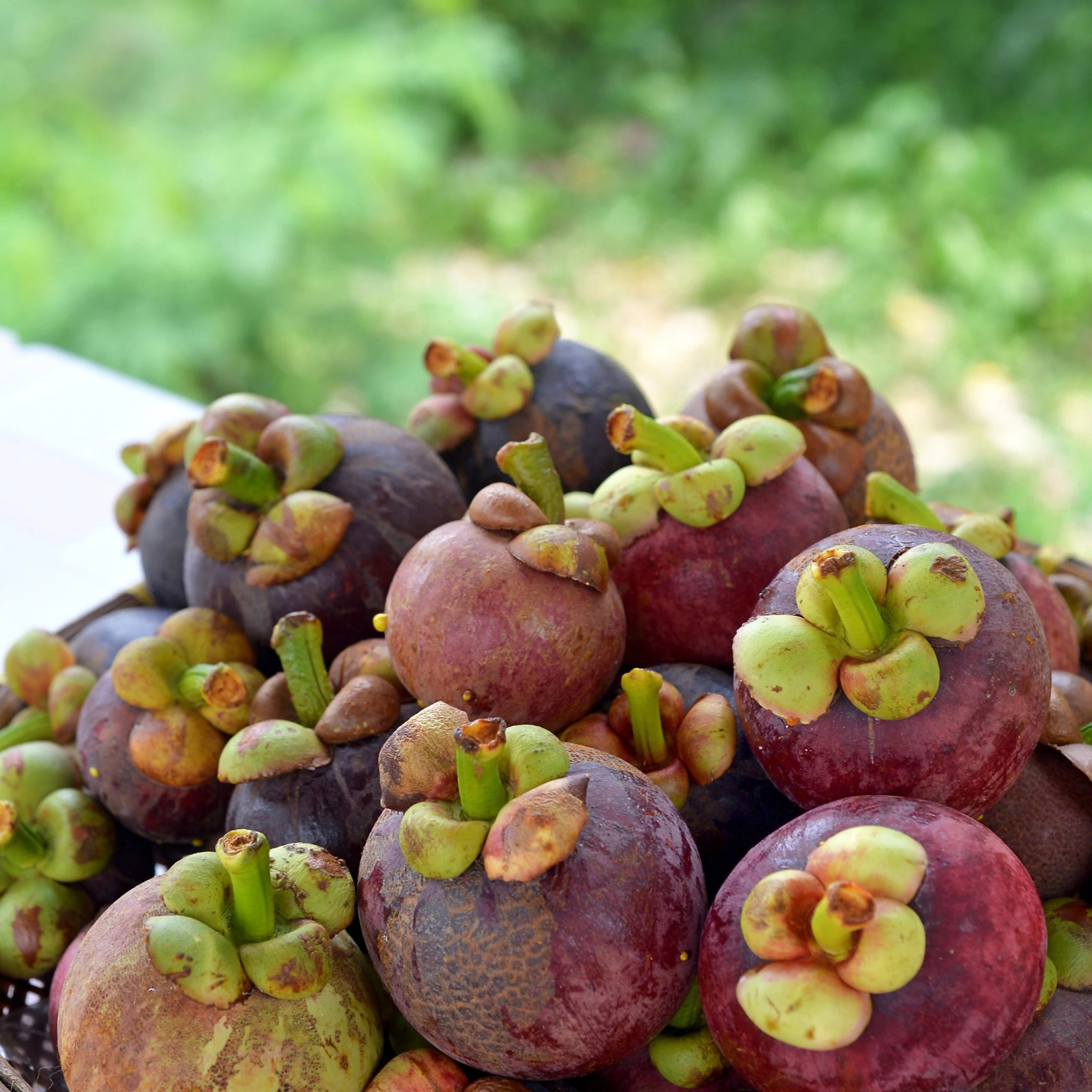 Mangosteen, Grapefruit scent, Soy candle, Aromatherapy, 2160x2160 HD Phone