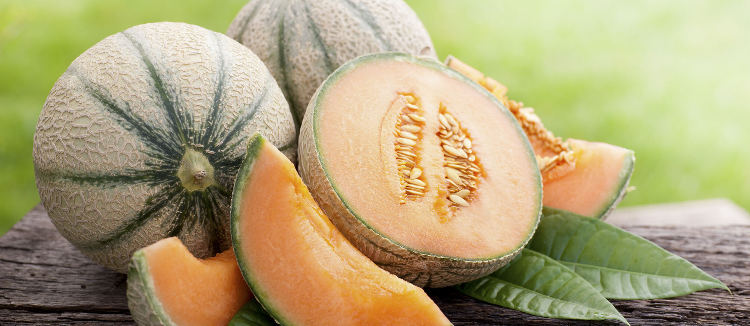 European melons, Tasteatlas, 2500x1090 Dual Screen Desktop