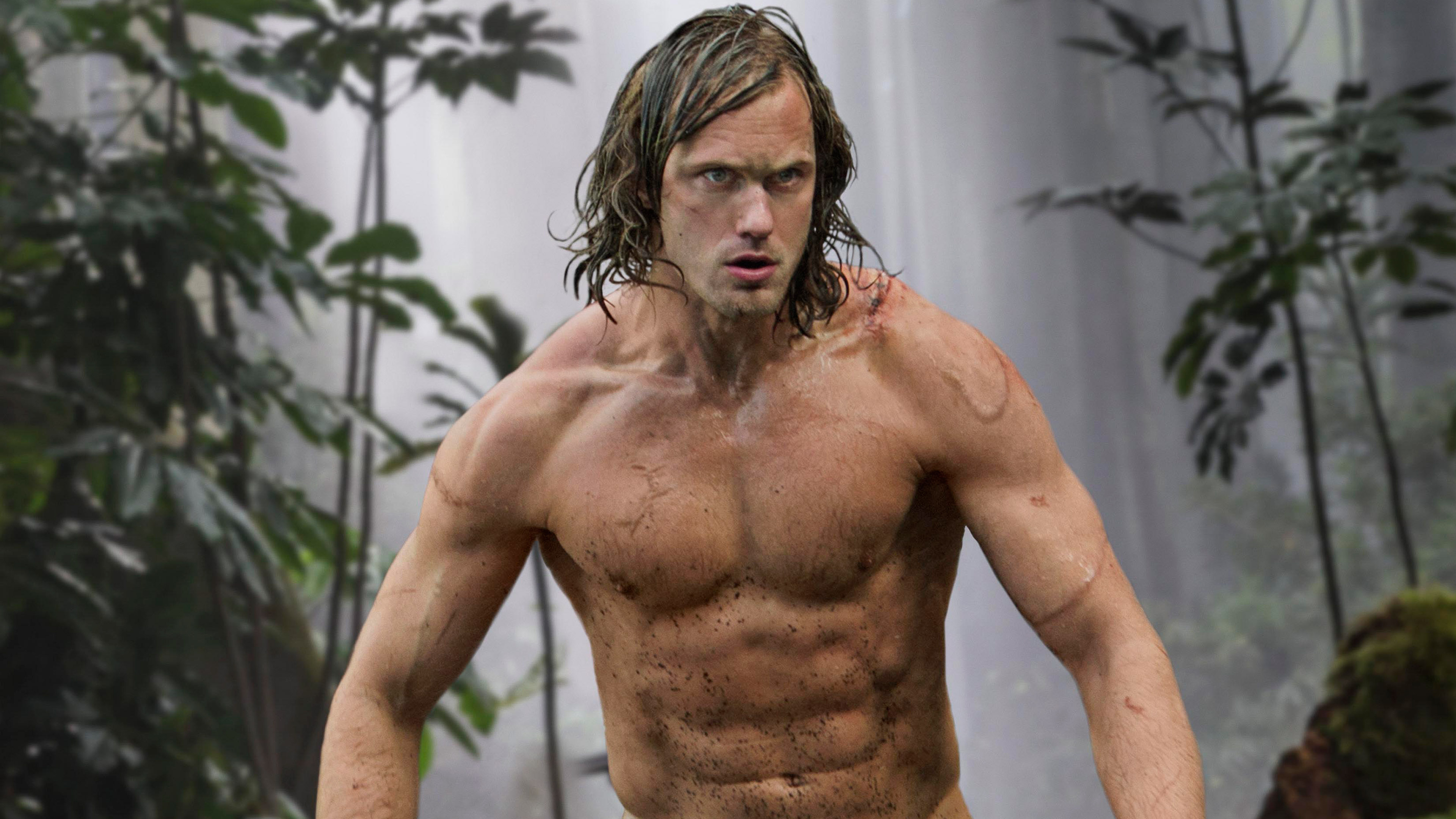 Alexander Skarsgard movies, Alexander Skarsgard The Legend of Tarzan, 4k wallpapers images backgrounds, Photos and pictures, 3840x2160 4K Desktop