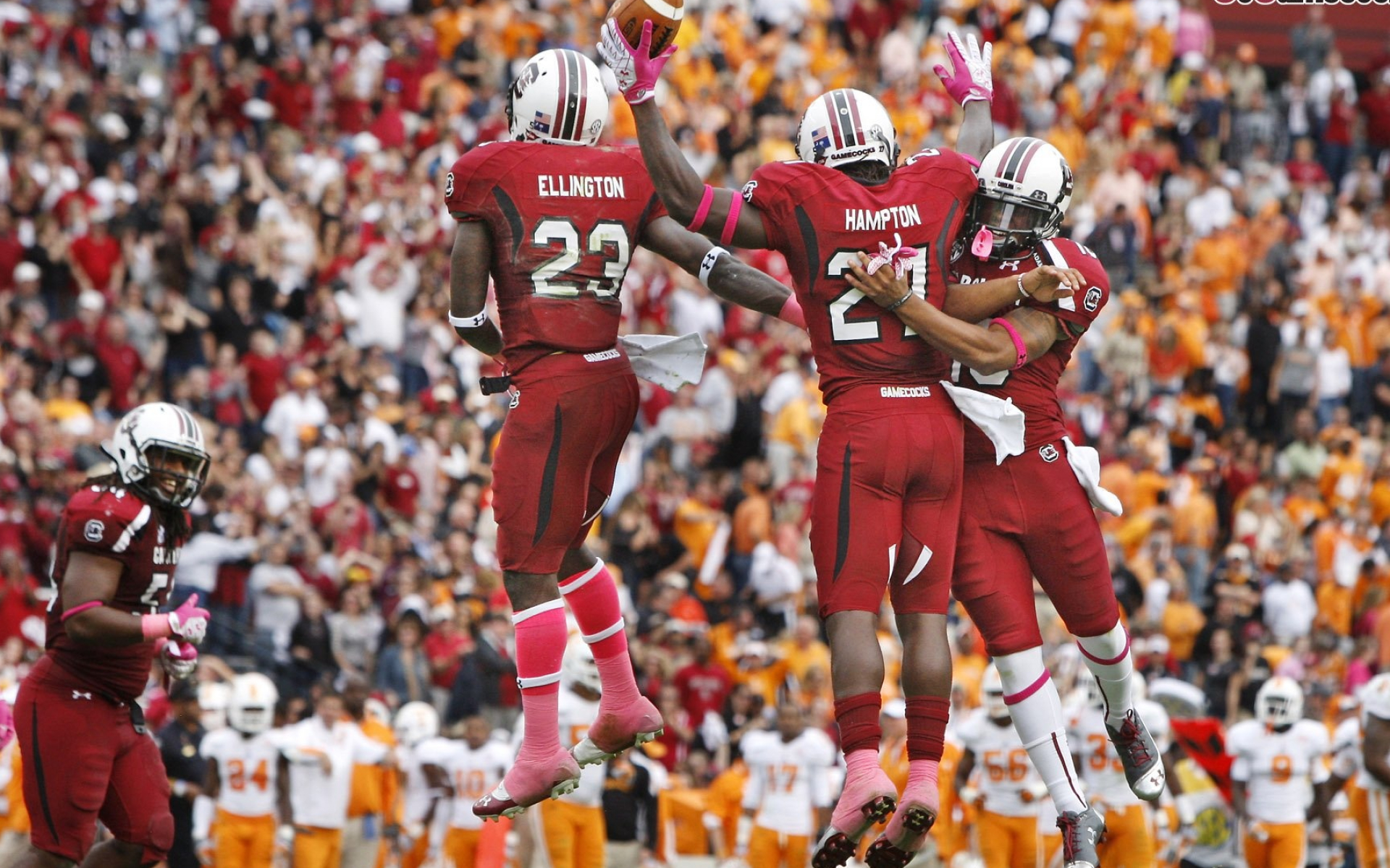 South Carolina Gamecocks, College football wallpaper, Team images, Sports, 1920x1200 HD Desktop