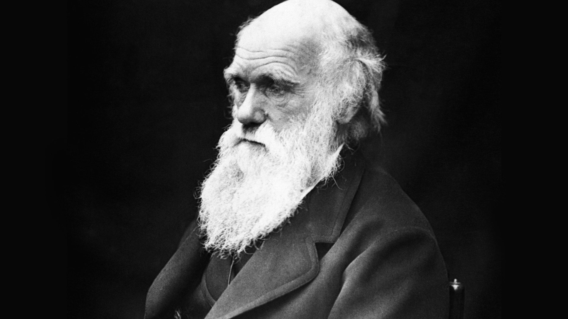 Charles Darwin, Evolutionary biologist, Naturalist, Scientific theory, 1920x1080 Full HD Desktop