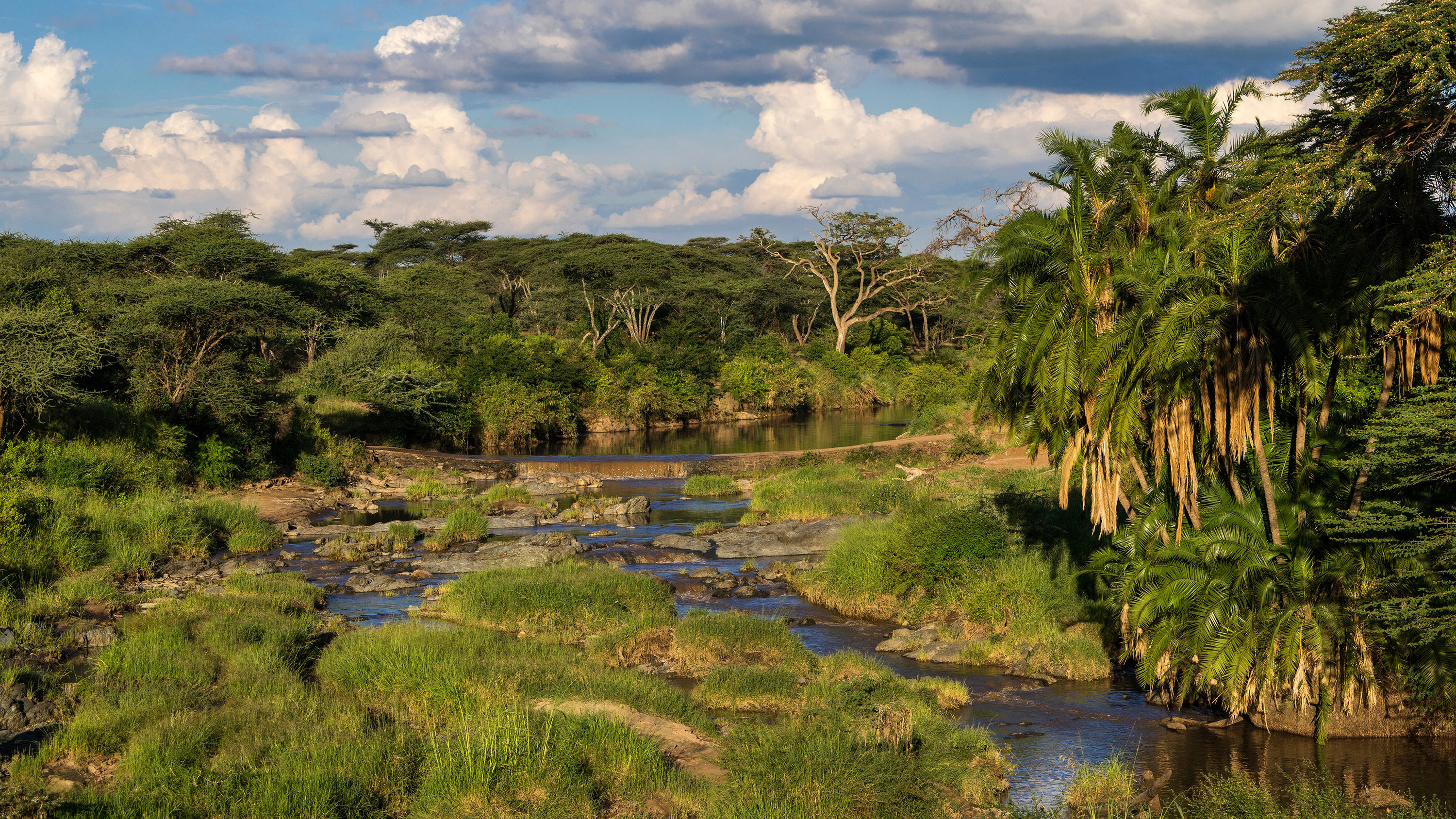 Virunga National Park, African national parks, Wildlife, Conservation, 3000x1690 HD Desktop