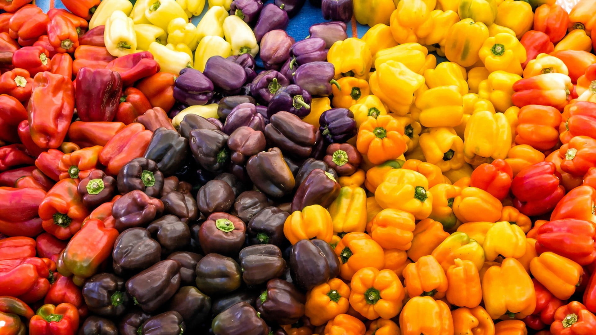 Bell pepper variety, Colorful pot display, Kitchen garden inspiration, Fresh and vibrant, 1920x1080 Full HD Desktop