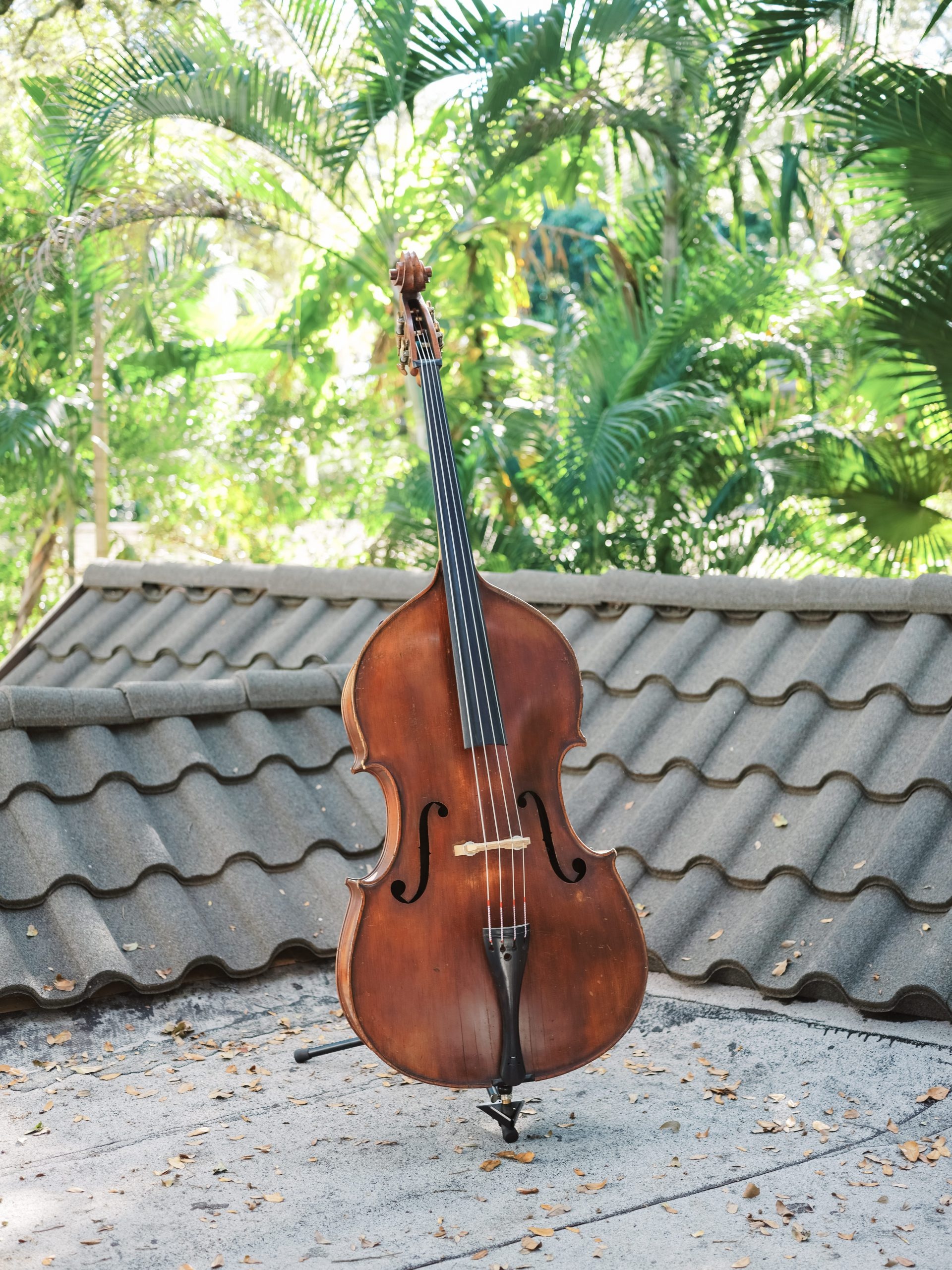 1969 John Juzek double bass, Miami String Haus, Vintage instrument, Rich heritage, 1920x2560 HD Phone