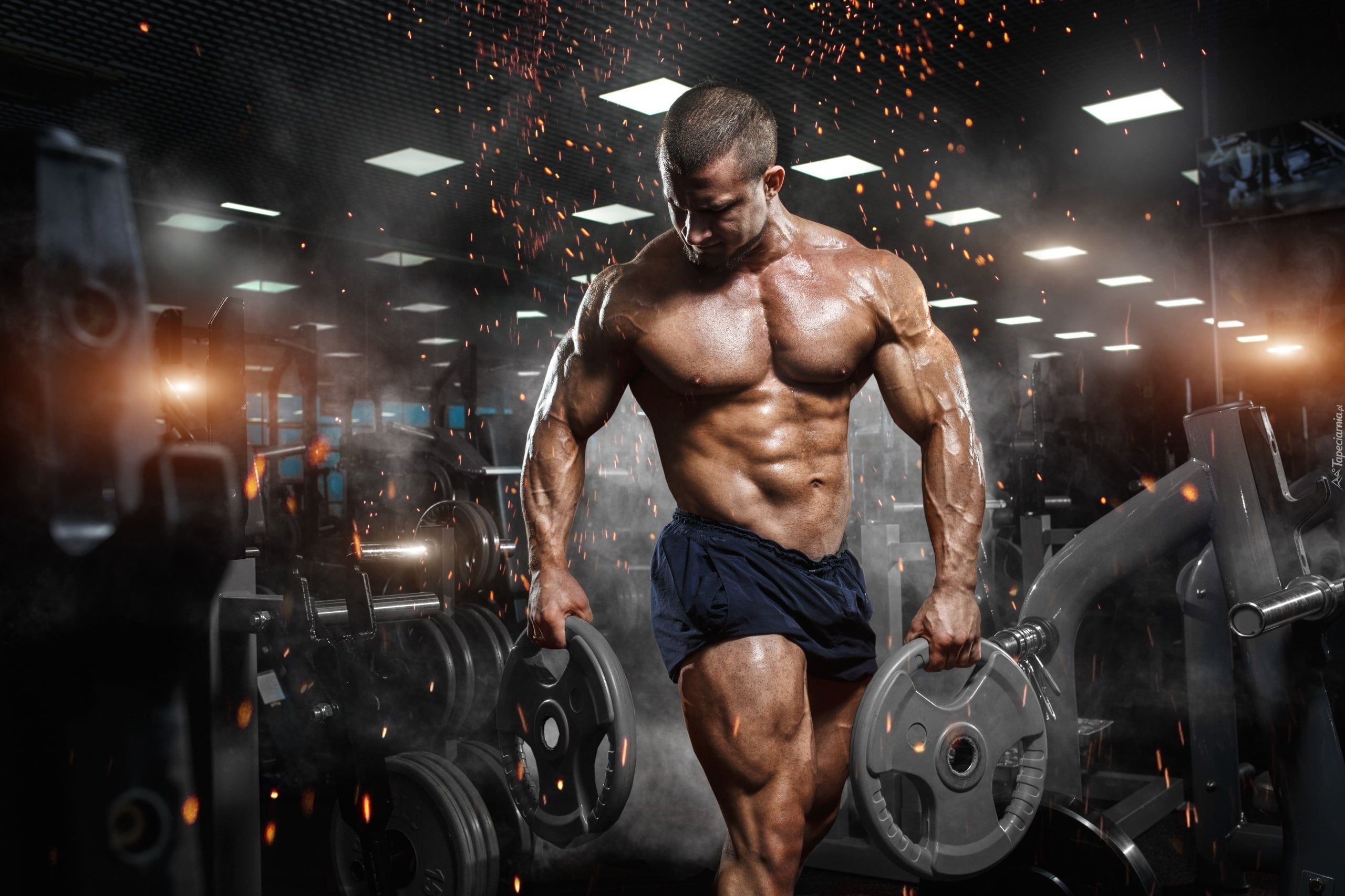 Muscular male bodybuilder, Iron barbell weight plates, Gym weight training room, HD Desktop wallpaper