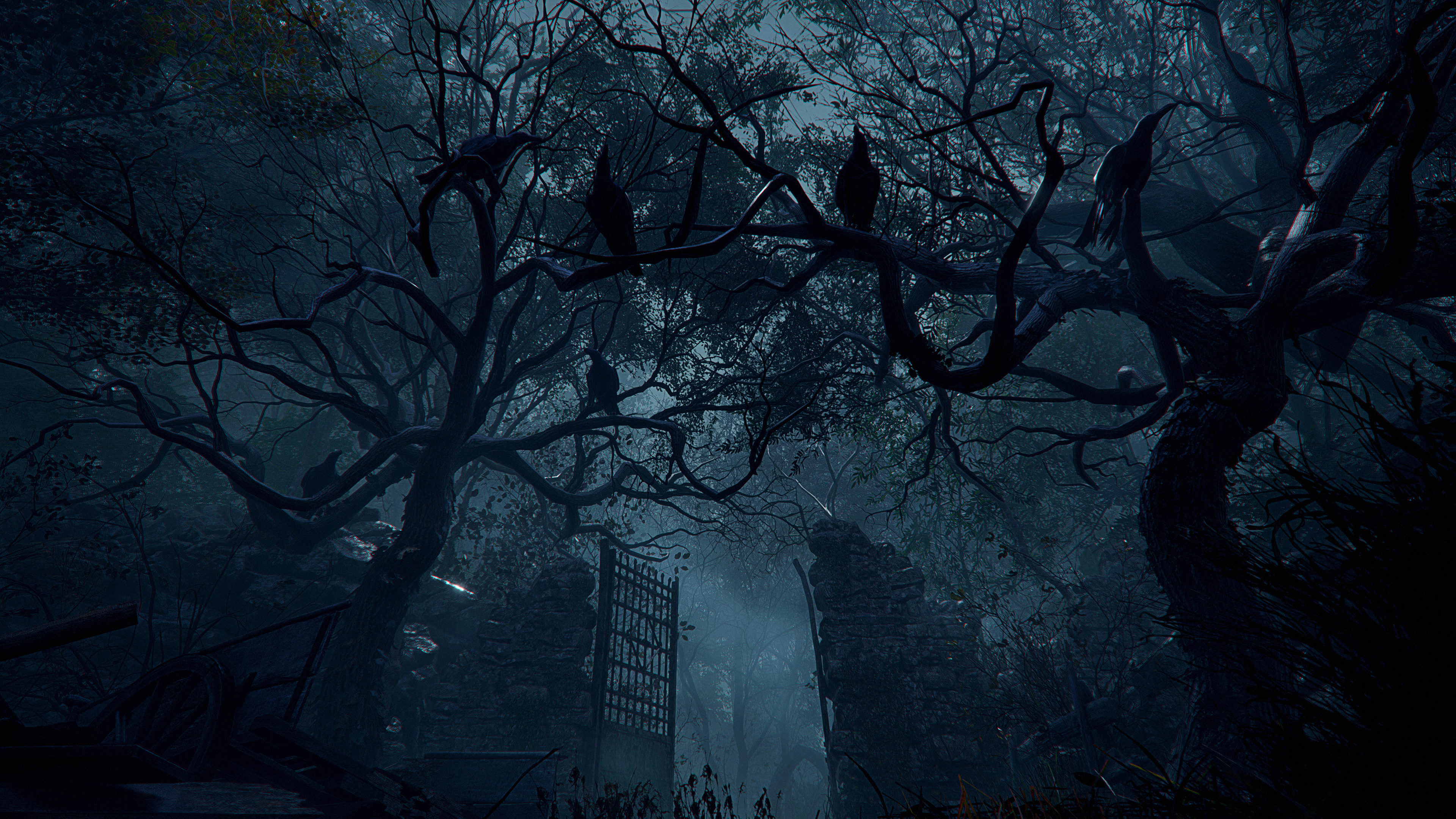 black crows on branches, ruined iron cemetery gate, foggy dark forest, 4K Desktop wallpaper