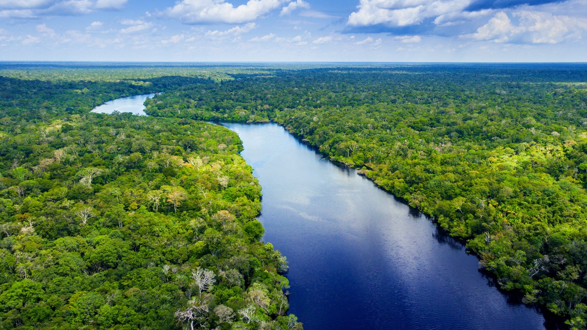 The Amazon River Wallpapers 27 Images WallpaperCat The Amazon River Wallpapers 27 Images WallpaperCat