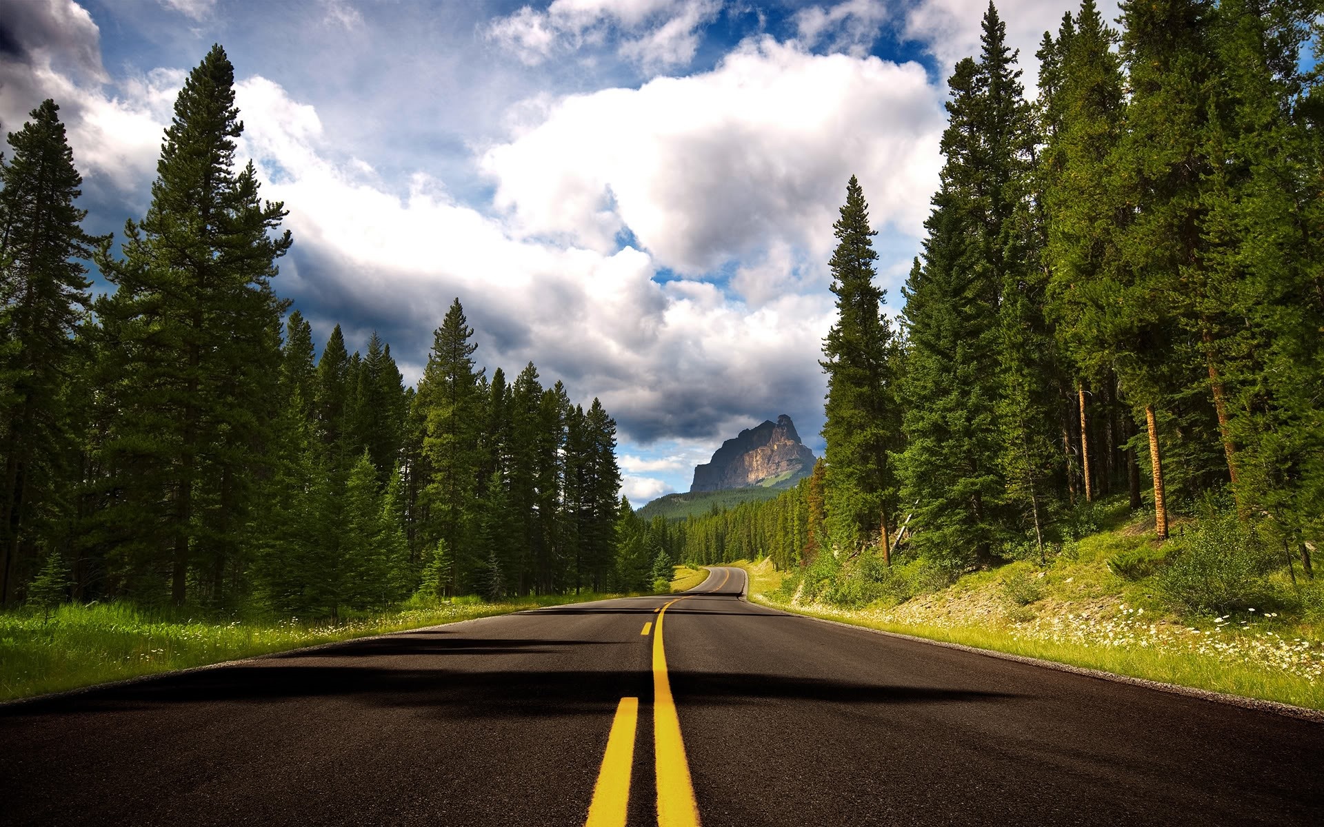 Castle Mountain Alberta, two-lane forest highway, coniferous evergreen forest, HD Desktop wallpaper