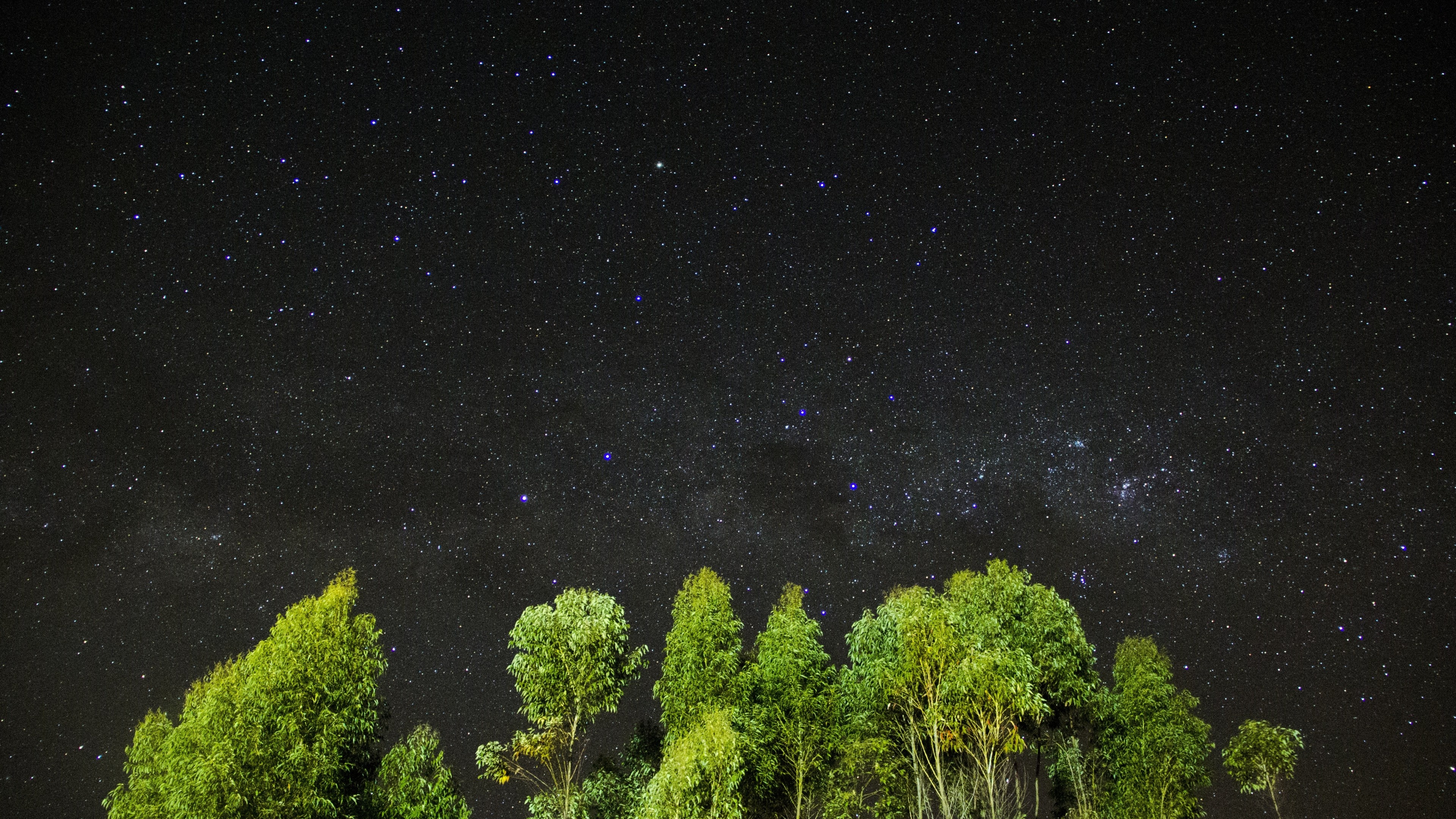 Milky Way starfield, illuminated green treetops, starry night sky, 4K Desktop wallpaper