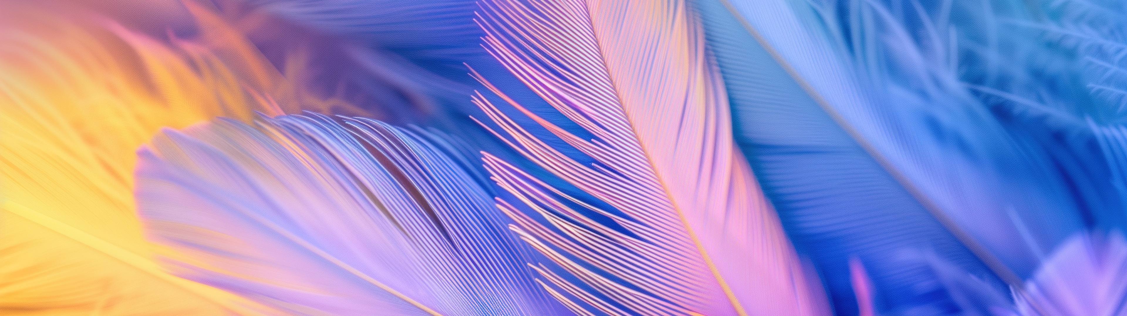 Feather, Dual Monitor Wallpaper, 3840x1080 Dual Screen Desktop