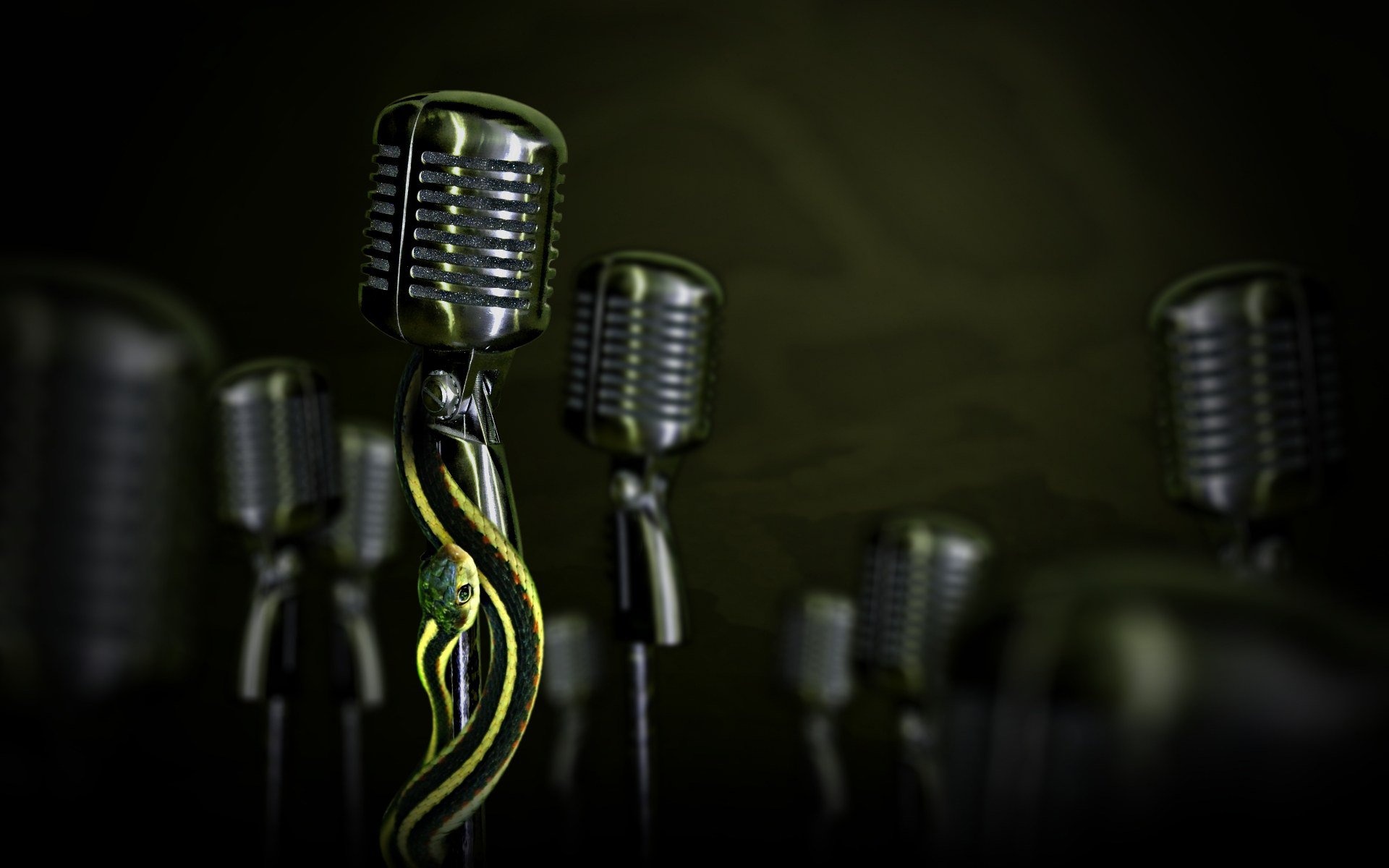 Snakes on microphone, Reptiles, Music, Danger, 1920x1200 HD Desktop