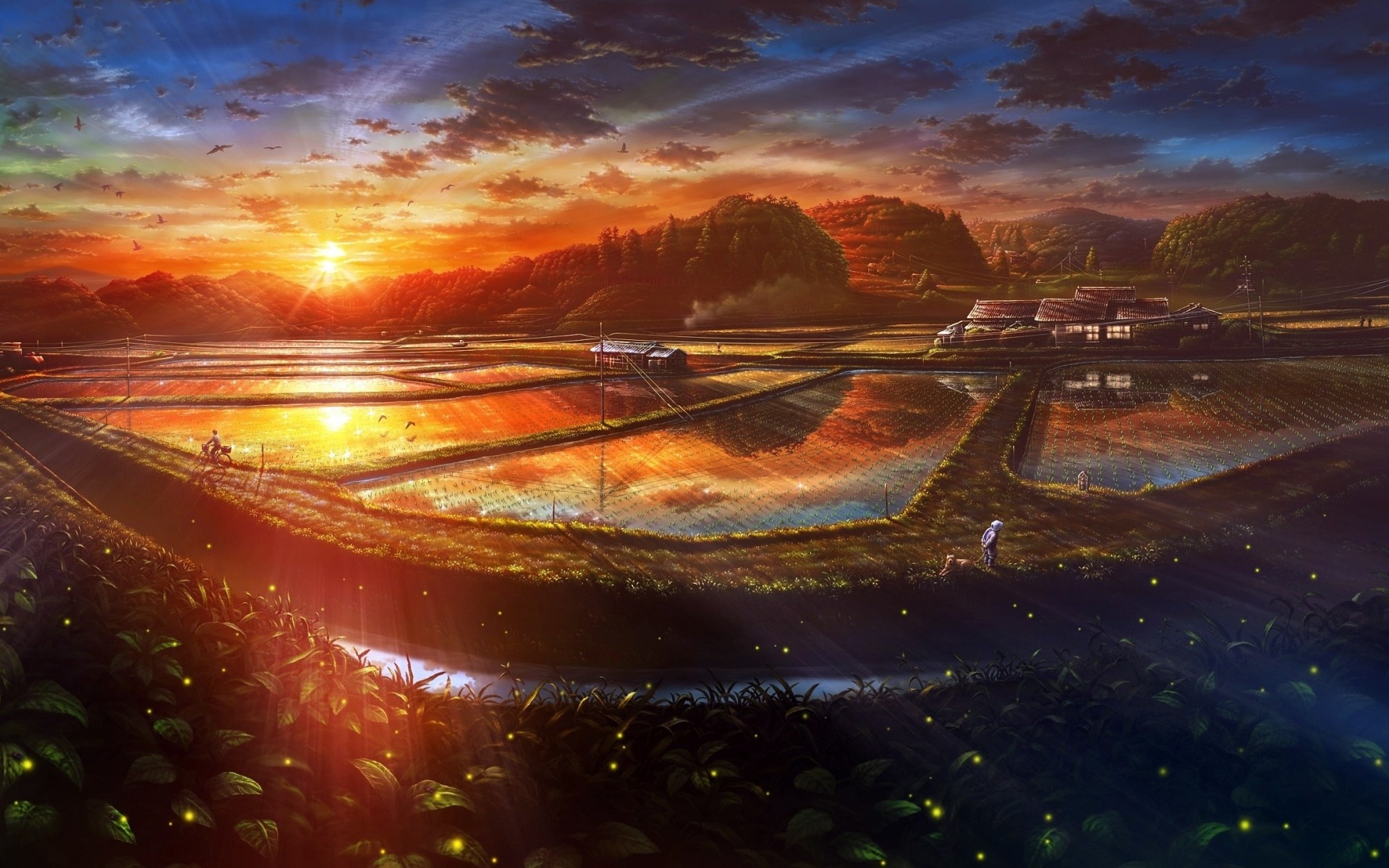 flooded rice paddy terraces, glowing fireflies in foliage, golden rural sunset, HD Desktop wallpaper