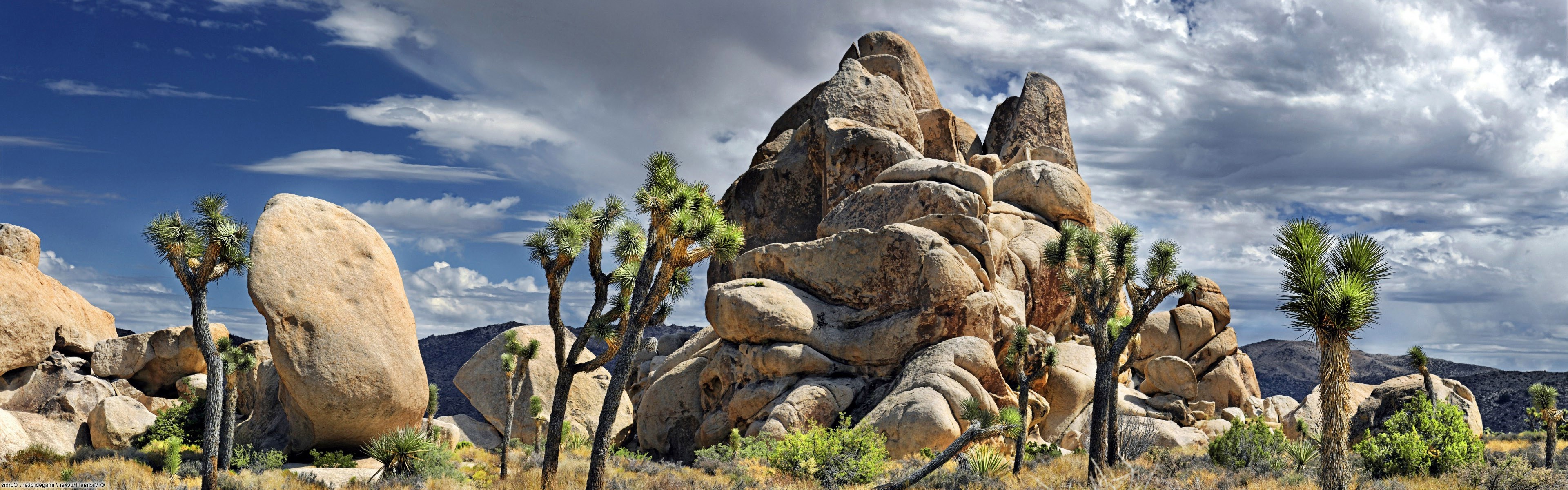 Joshua Tree National Park, Captivating wallpapers, Stunning backgrounds, Natural beauty, 3840x1200 Dual Screen Desktop