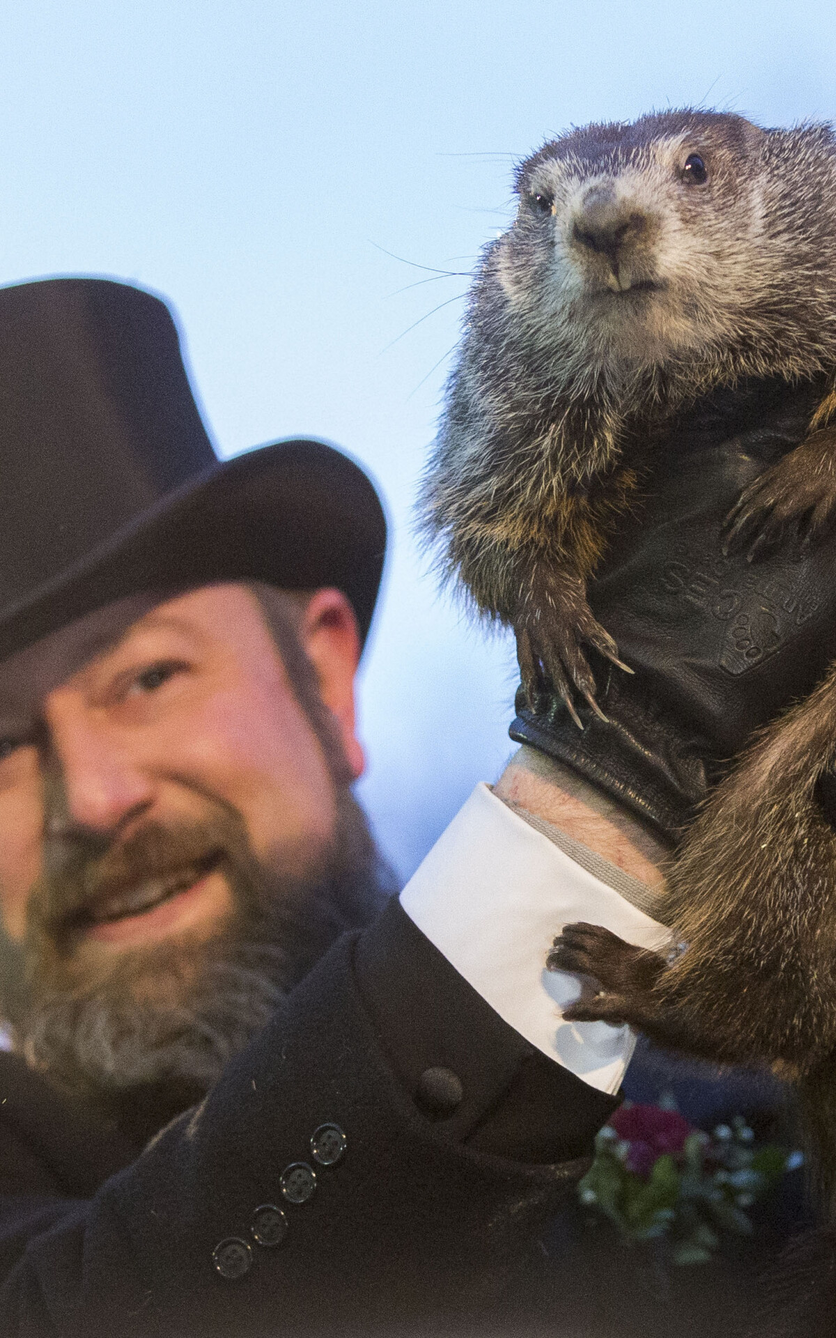Groundhog Day 2020, Groundhog Day Wallpaper, 1200x1920 HD Phone