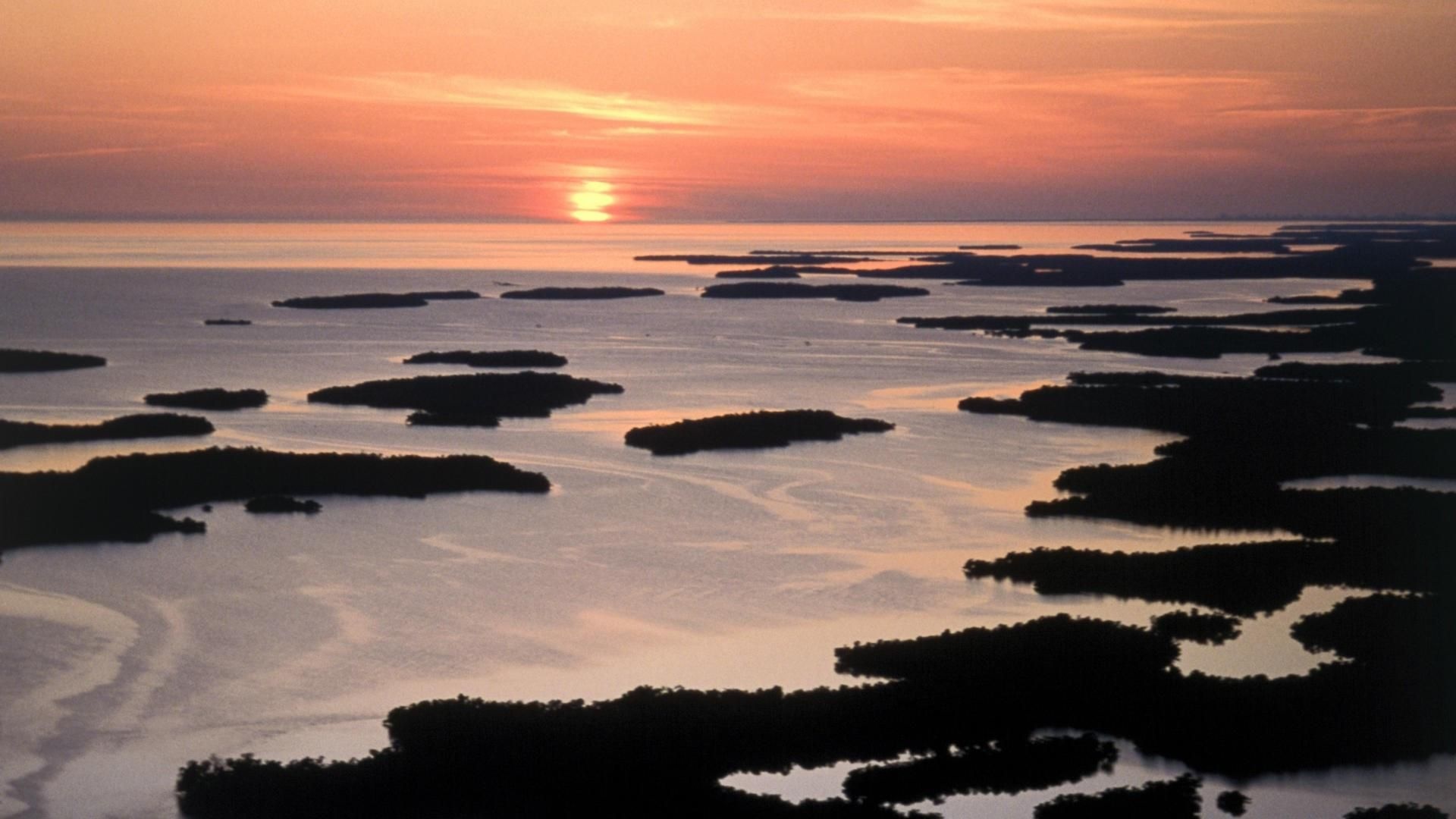 Everglades National Park, Top free wallpapers, Mesmerizing backgrounds, Scenic beauty, 1920x1080 Full HD Desktop