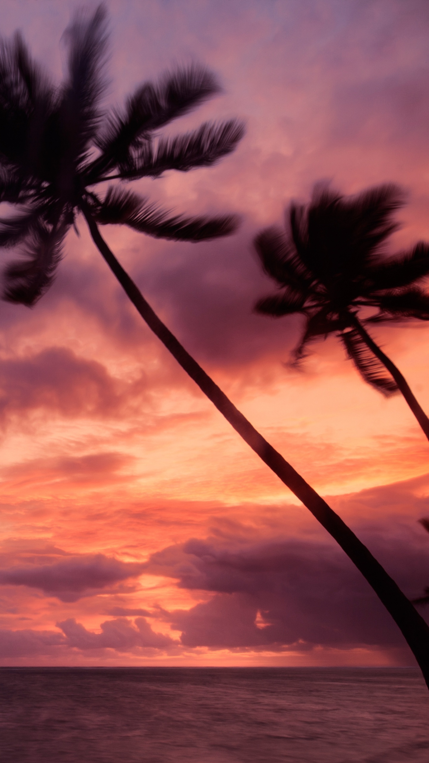 Punta Cana wallpaper, 4K, Dominican Republic, Purple sky, 1440x2560 HD Phone