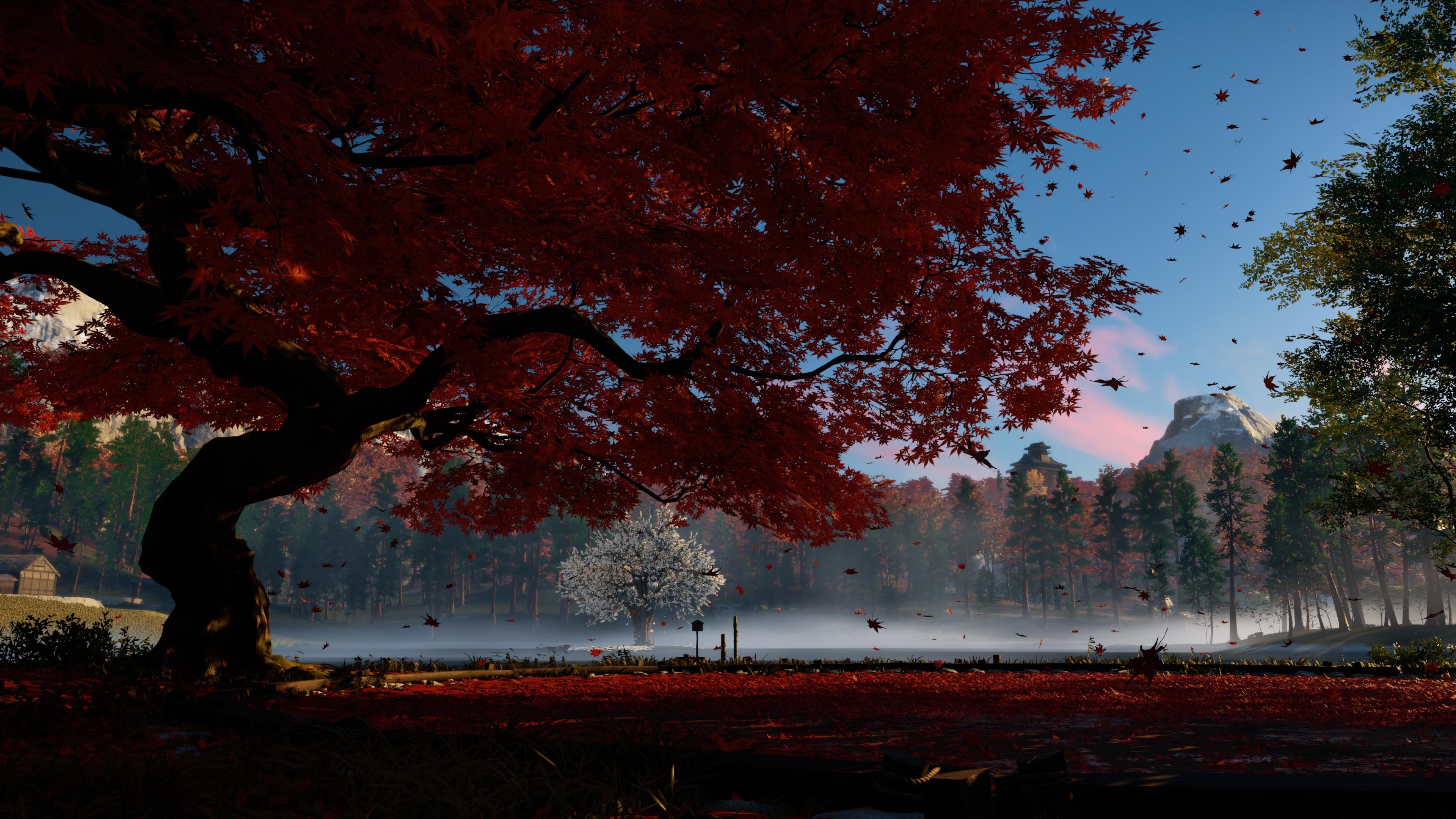 Ghost of Tsushima, Under the maple tree, Photography screenshots album, Ghost of Tsushima, 3840x2160 4K Desktop