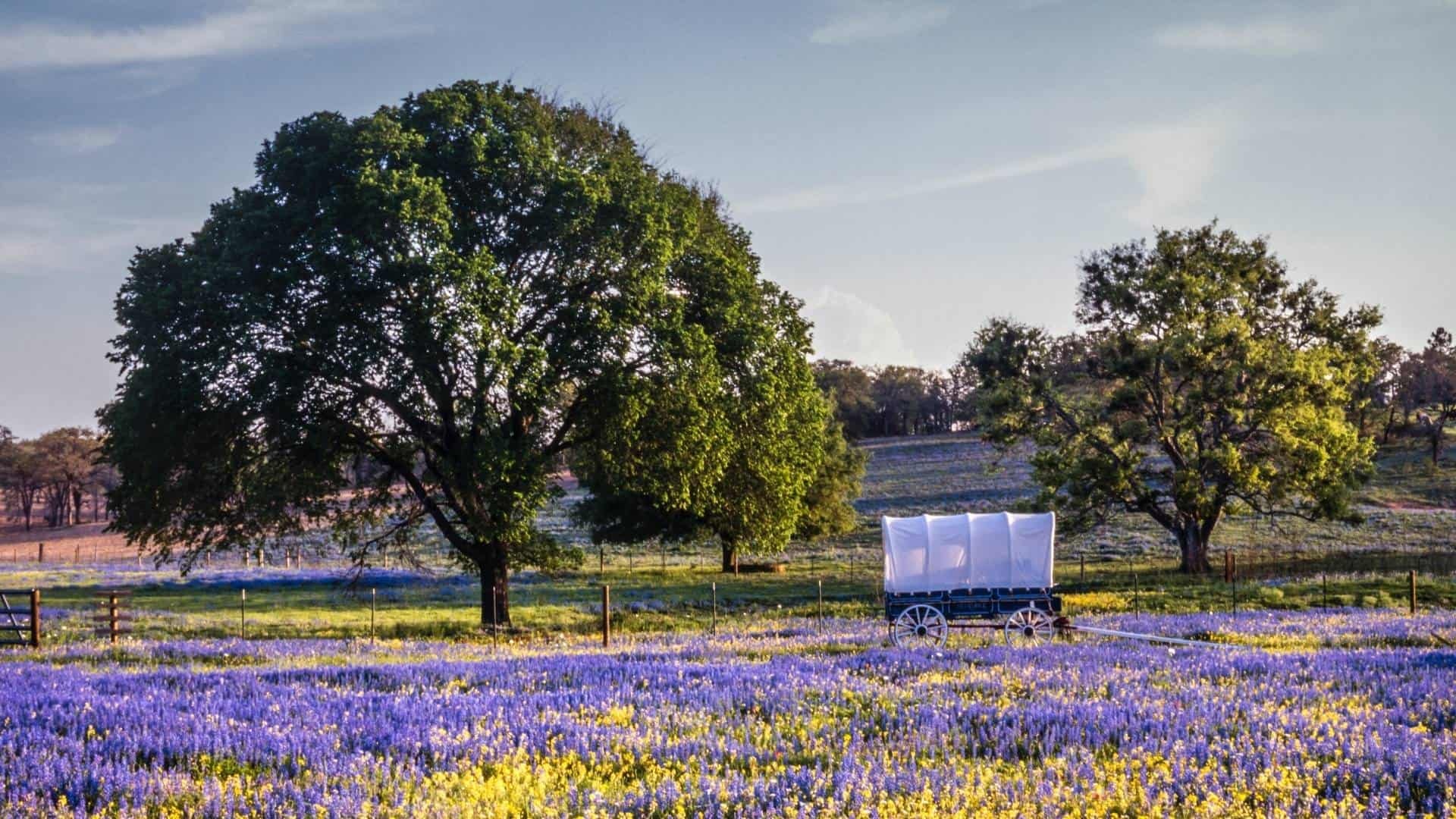 Ultimate Texas Hill Country road trip, Unforgettable travel adventure, Hidden gems, Scenic beauty, 1920x1080 Full HD Desktop