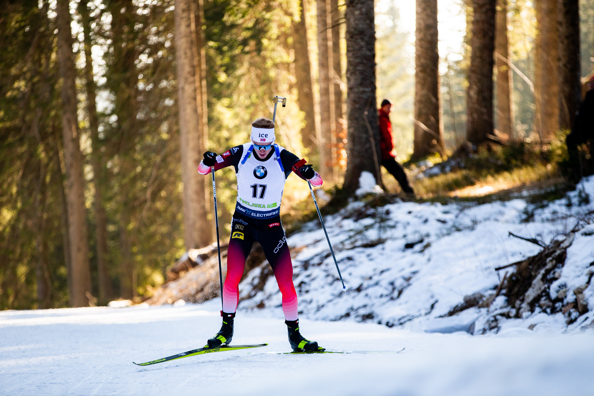 Johannes Thingnes Boe, Winning return, Biathlon Pokljuka, Victory march, 2050x1370 HD Desktop