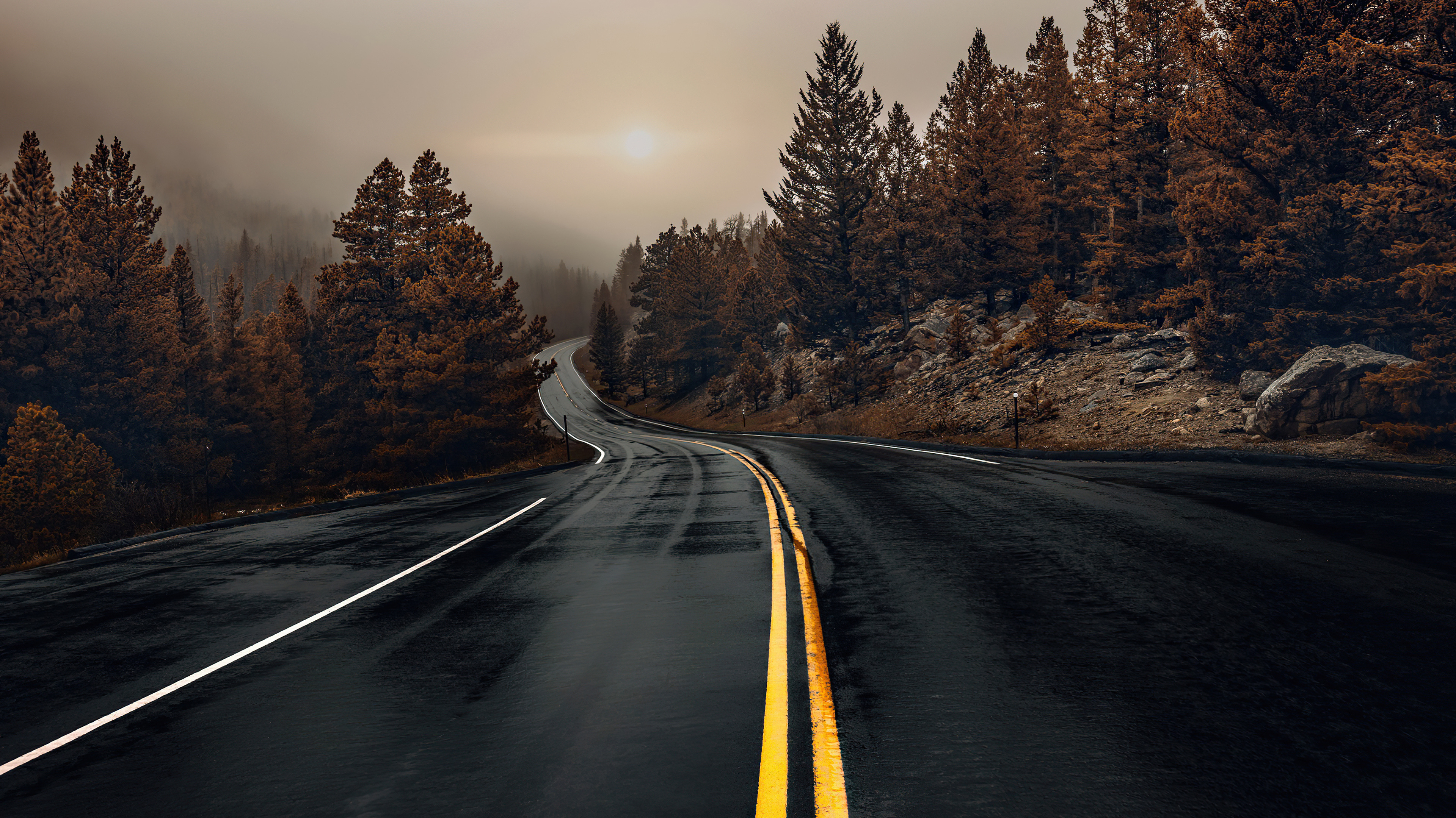 wet winding asphalt road, double yellow dividing lines, foggy pine mountain forest, 4K Desktop wallpaper