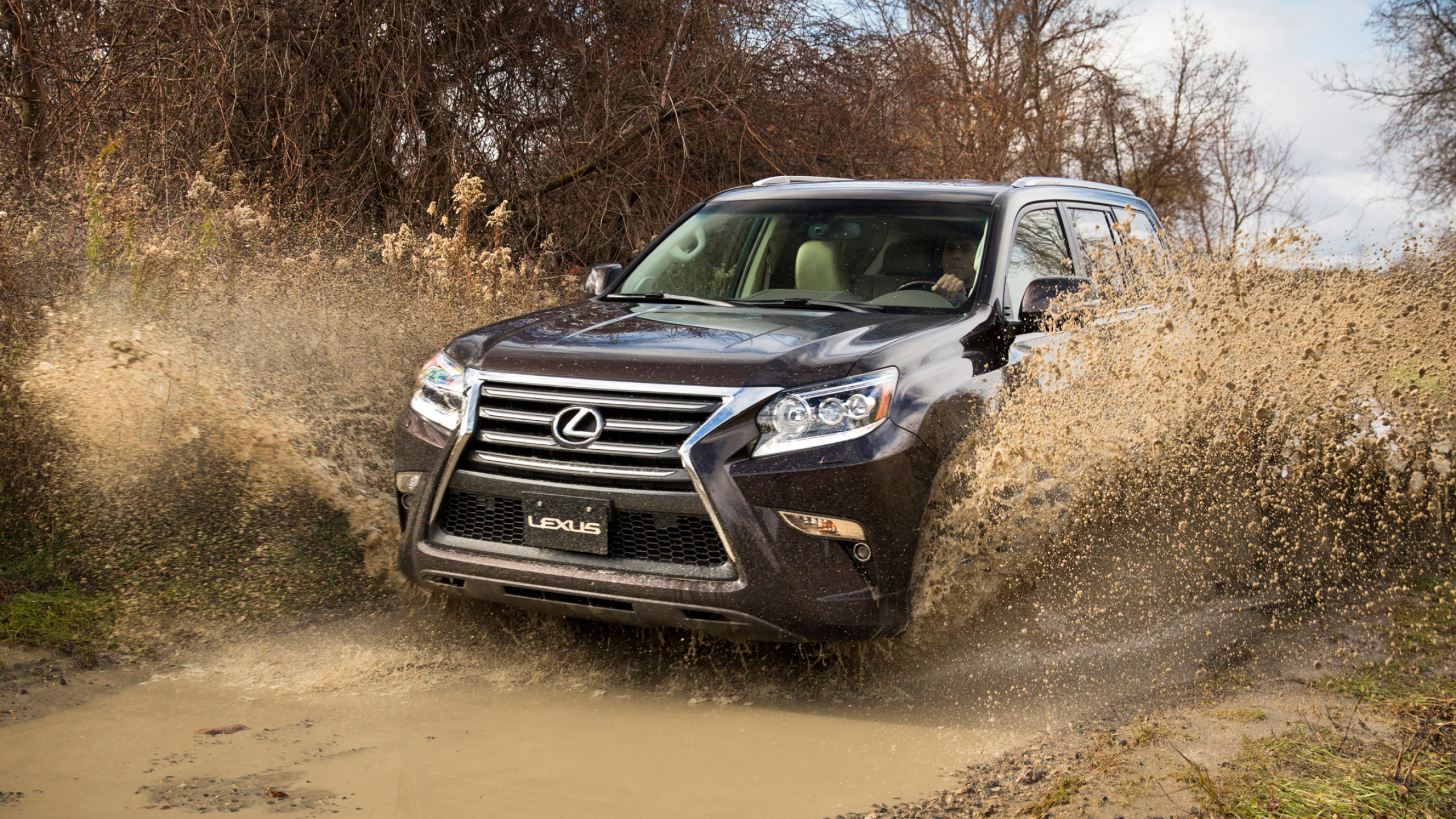 Lexus GX 460 CA spec 2014, Desktop wallpapers, Automotive beauty, Masterpiece on wheels, 2560x1440 HD Desktop