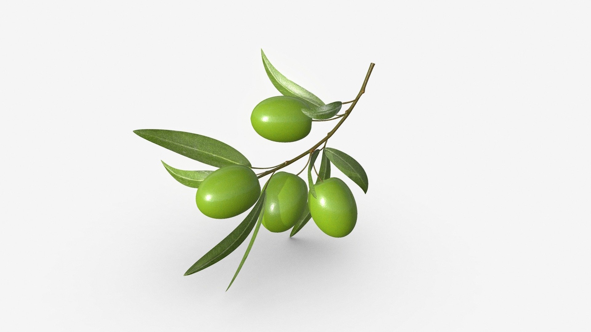 Olive branch, 3D model, Royalty-free, Detailed craftsmanship, 1920x1080 Full HD Desktop