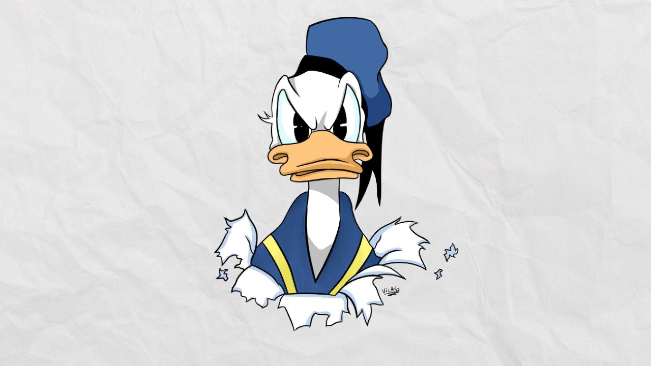 Donald Duck, Angry expression, Wallpaper, 2560x1440 HD Desktop