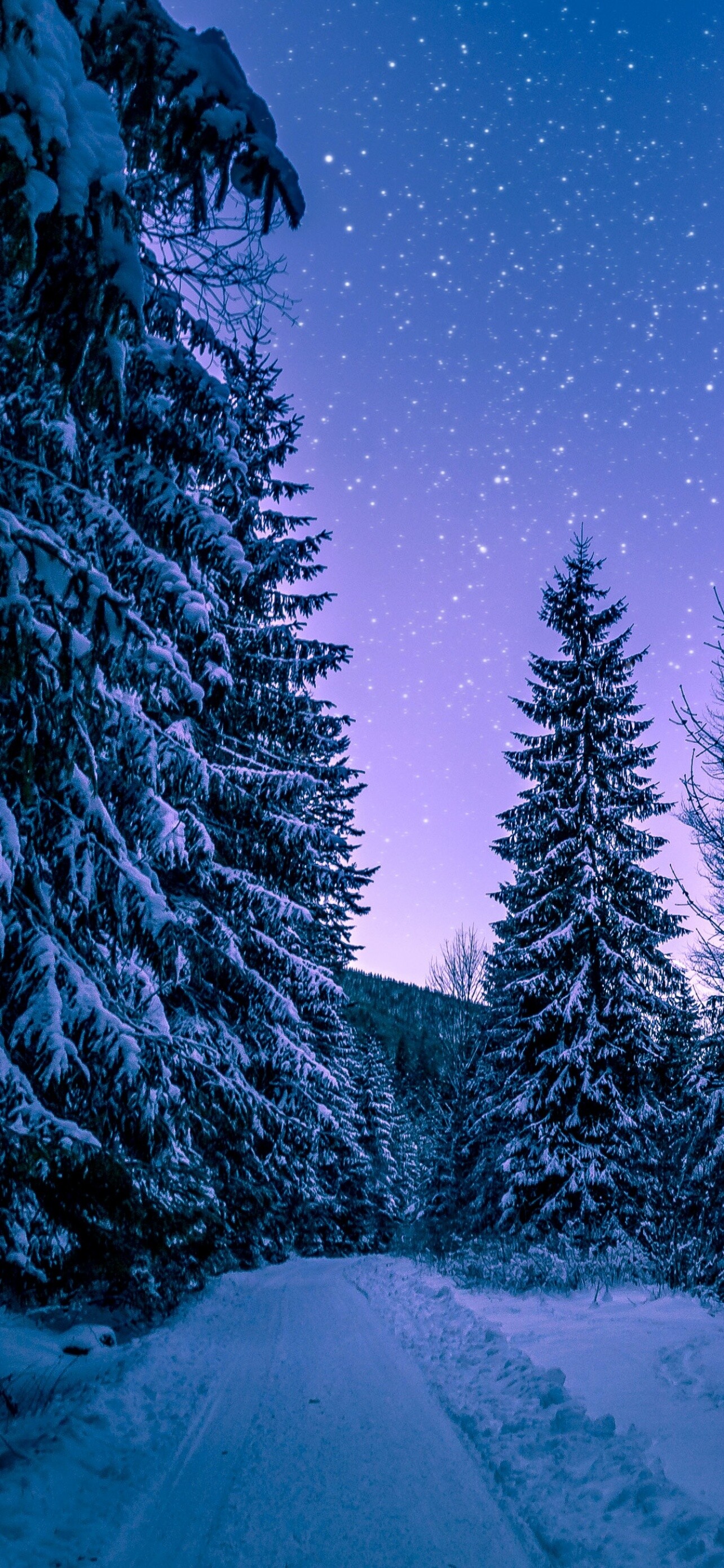 Winter forest, Trees Wallpaper, 1290x2780 HD Phone