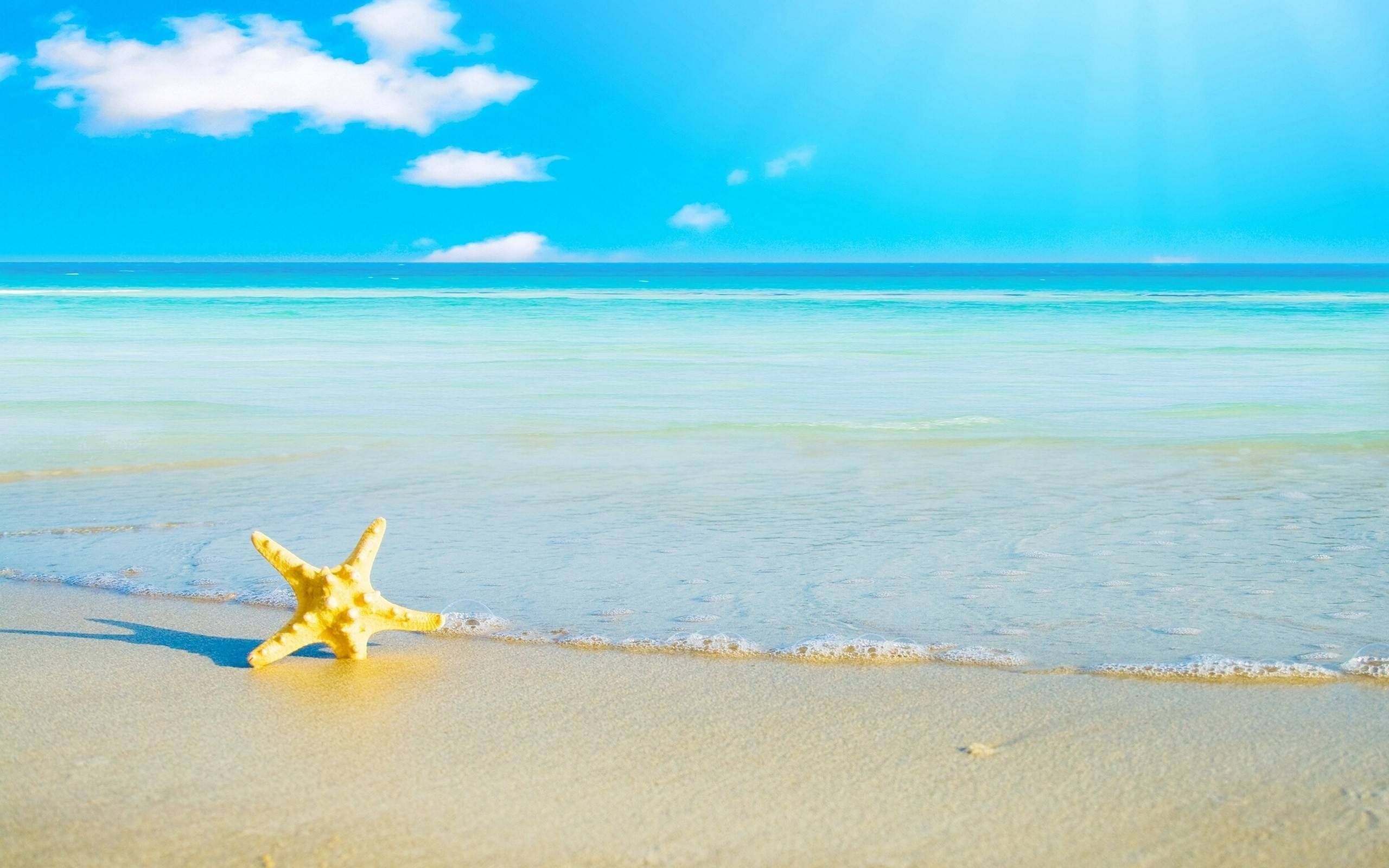 Sea star wallpapers, Beach-themed backgrounds, Oceanic artwork, Marine life-inspired illustrations, 2560x1600 HD Desktop