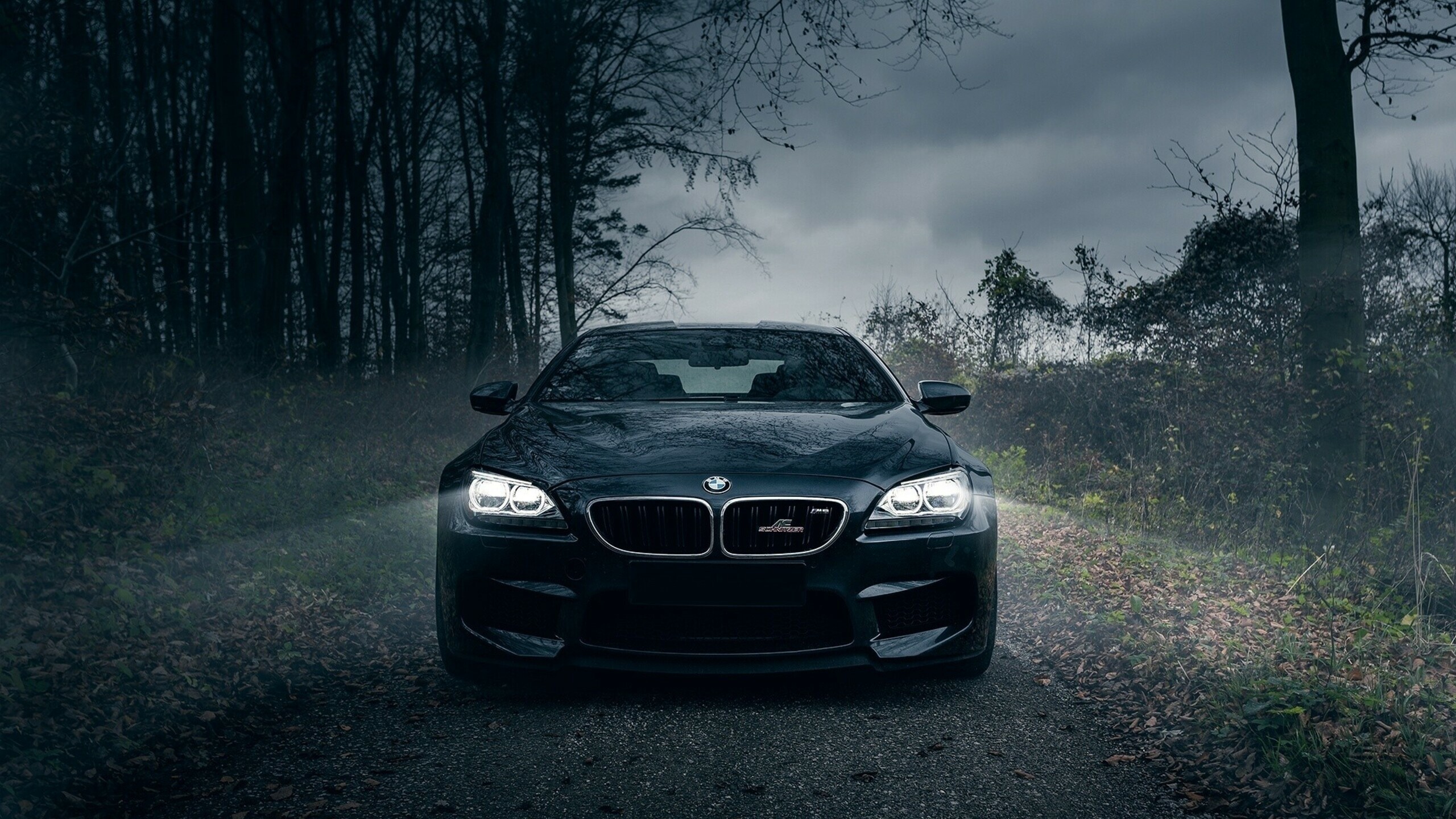 BMW 2 Series, 5 Series, 1440p resolution, HD wallpapers, 2560x1440 HD Desktop