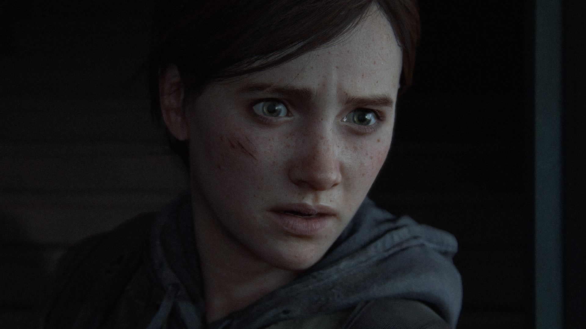 Ellie Williams, The Last of Us Part II, grey hoodie, Full HD Desktop wallpaper