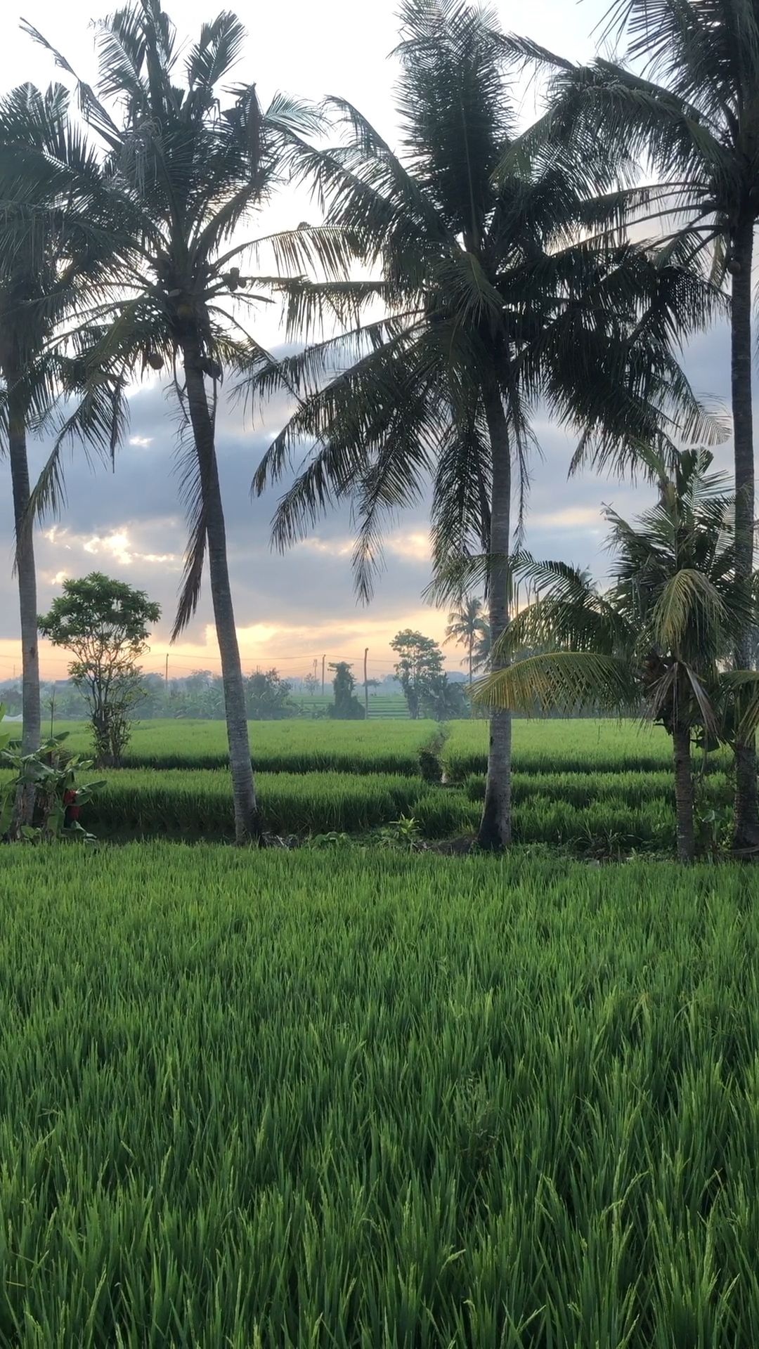 Pin di Bali, Inspiring visuals, Island inspiration, Captivating beauty, 1080x1920 Full HD Phone